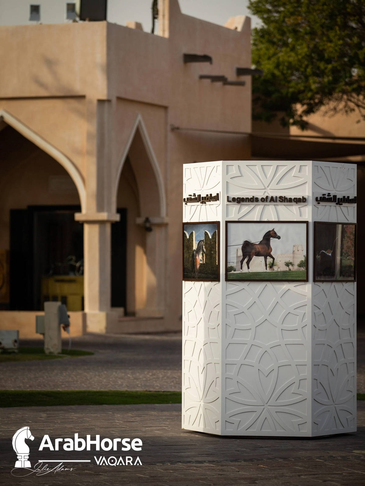 Photos from the 2022 Katara International Arabian Horse Festival