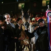 ¸Dakharo 2   55.jpg