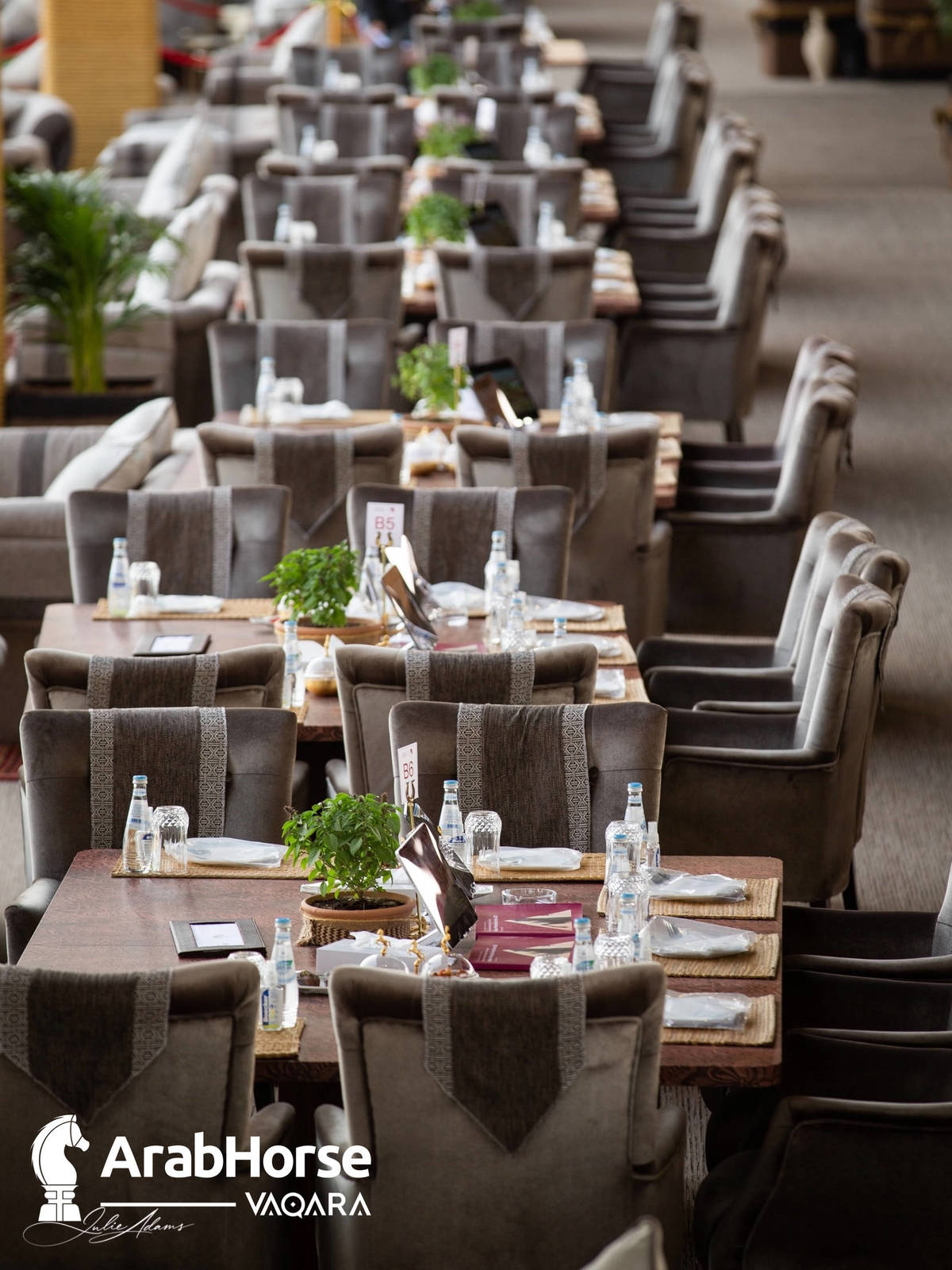 Photos from the 2022 Katara International Arabian Horse Festival