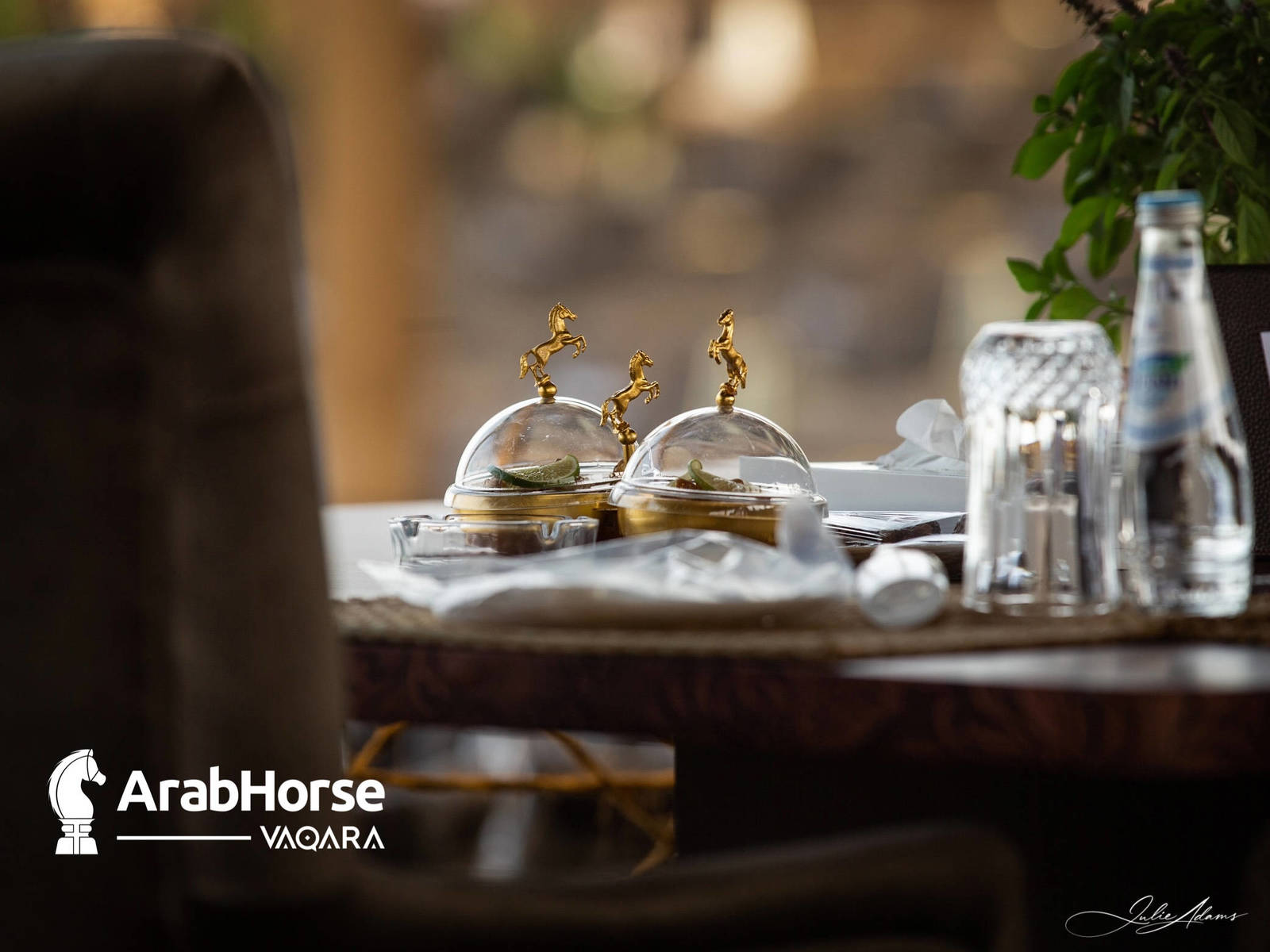 Photos from the 2022 Katara International Arabian Horse Festival