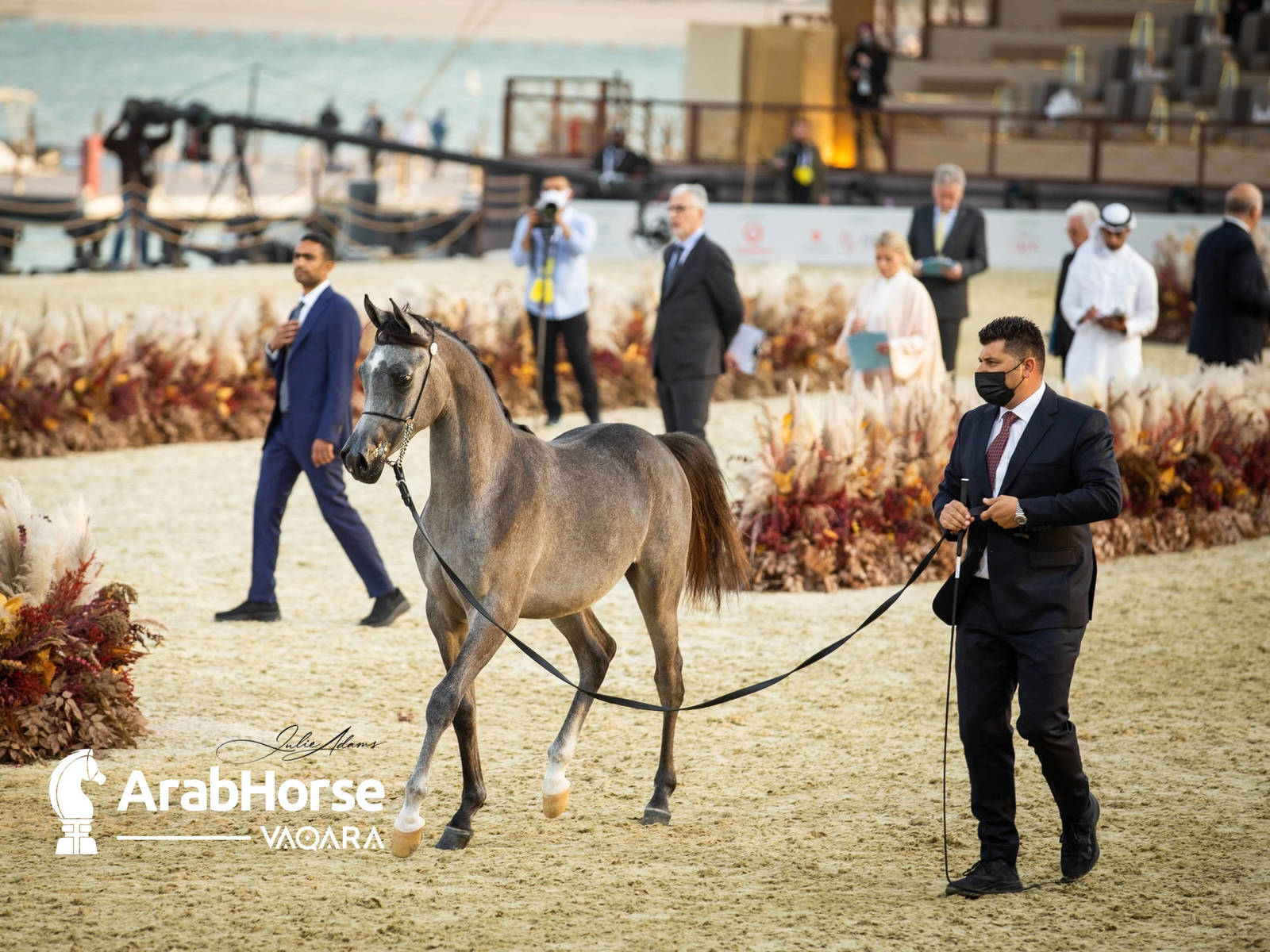 Photos from the 2022 Arabian Peninsula Horse Show at the KIAHF