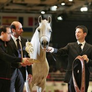 ¸Col Cora 1   78.jpg