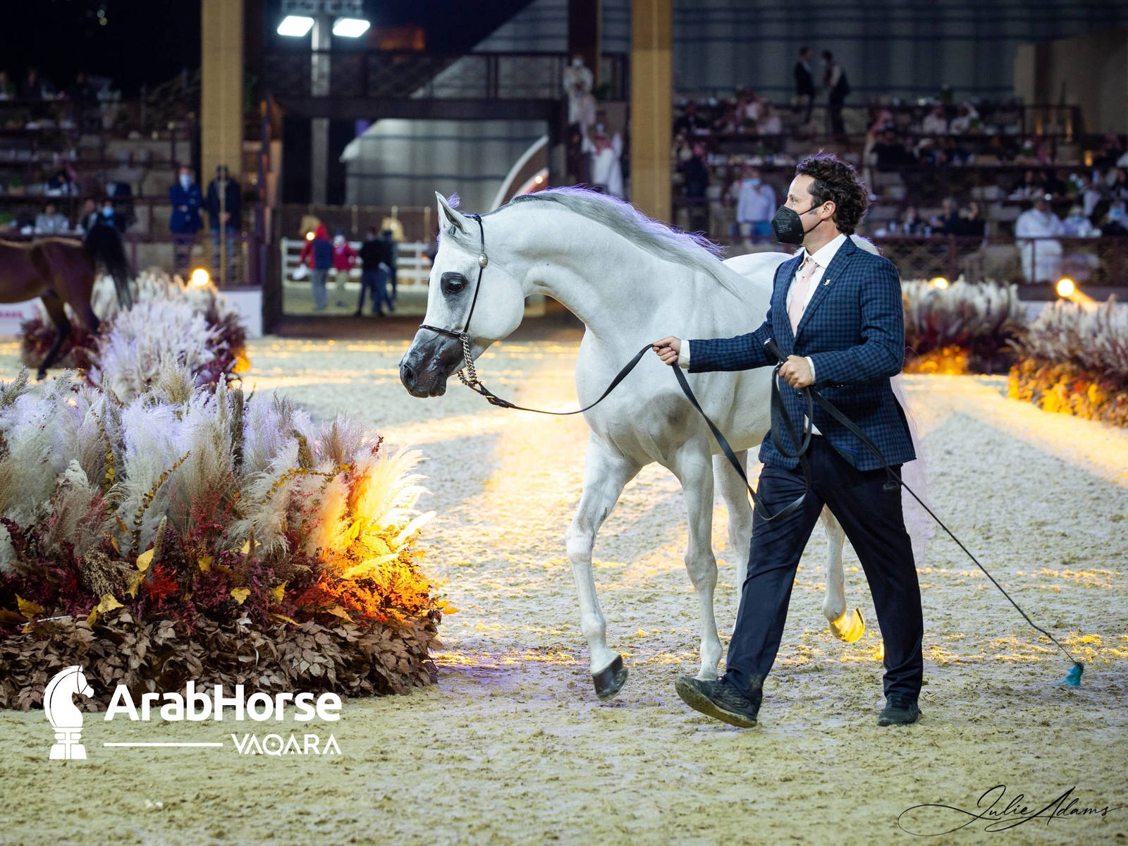 Photos from the 2022 Arabian Peninsula Horse Show at the KIAHF