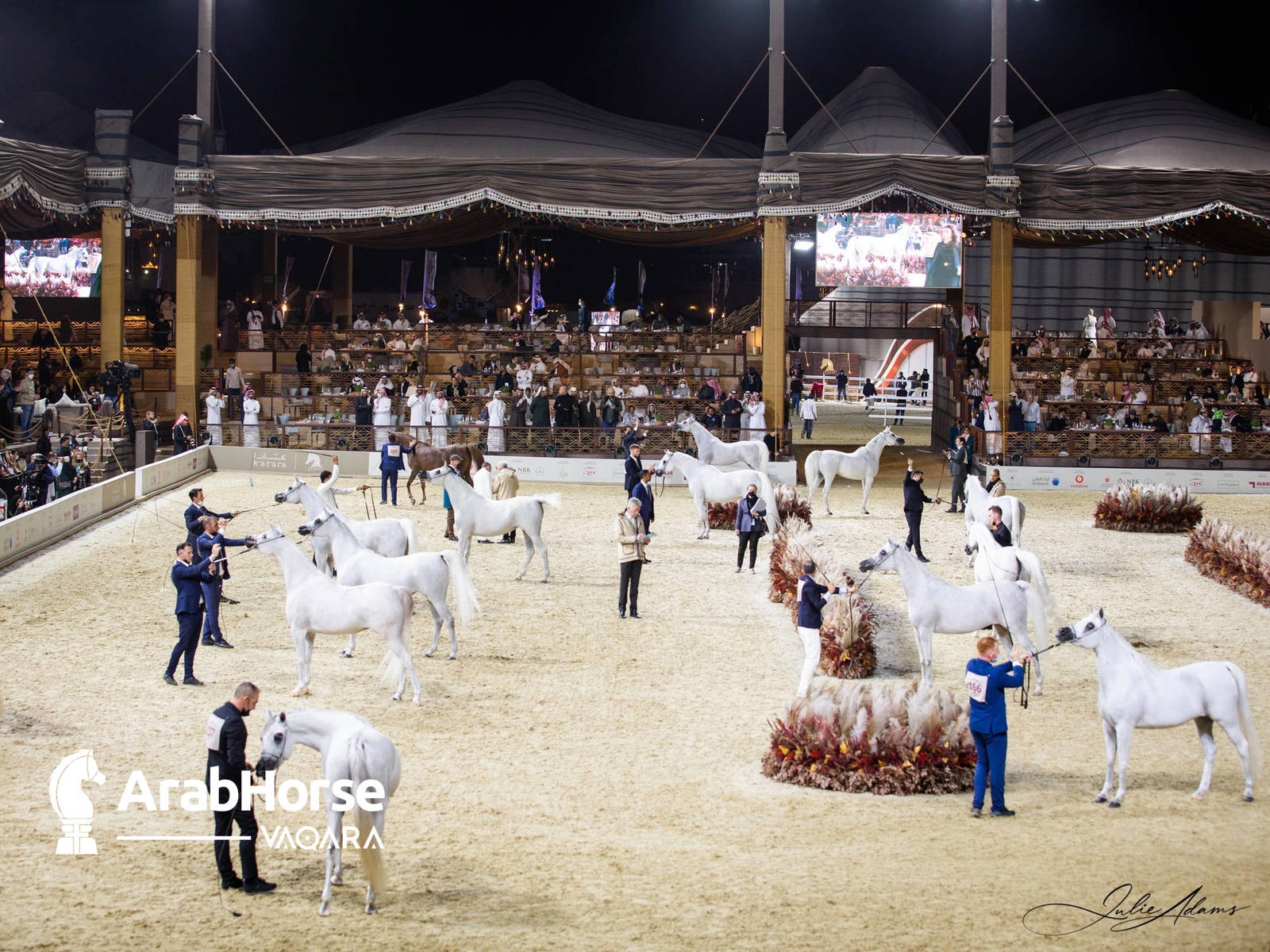 Photos from the 2022 Arabian Peninsula Horse Show at the KIAHF