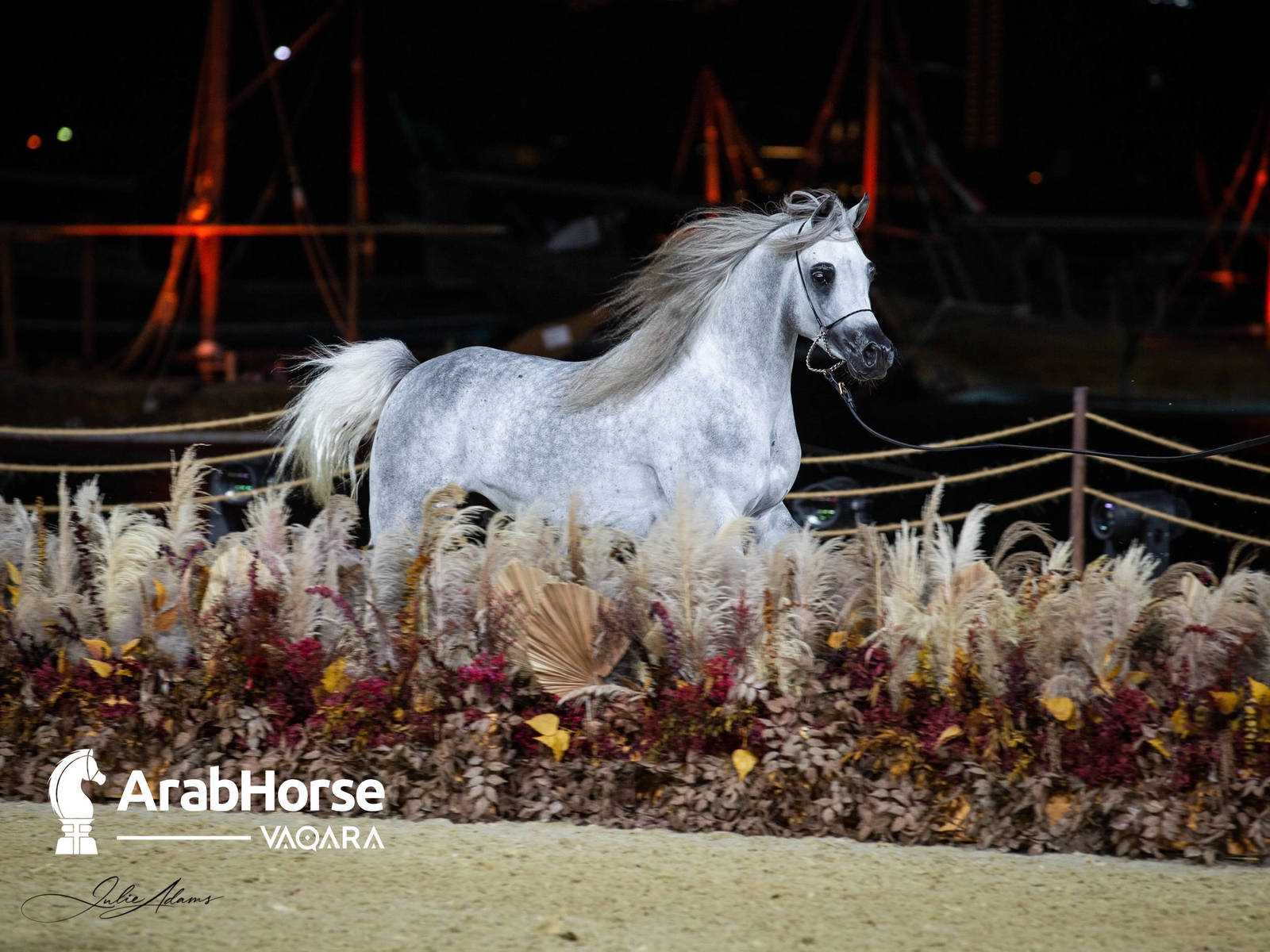 Photos from the 2022 Arabian Peninsula Horse Show at the KIAHF