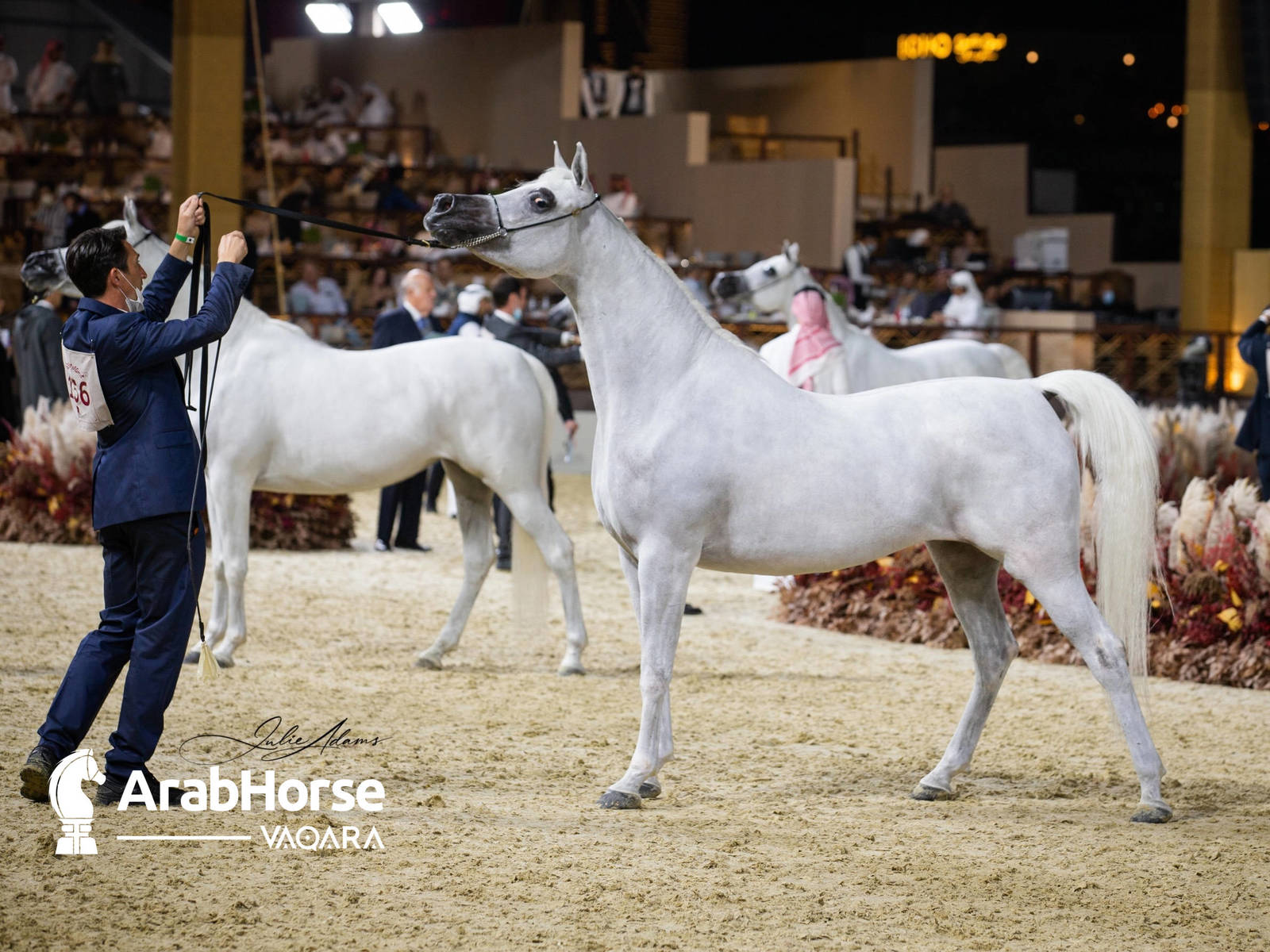 Photos from the 2022 Arabian Peninsula Horse Show at the KIAHF