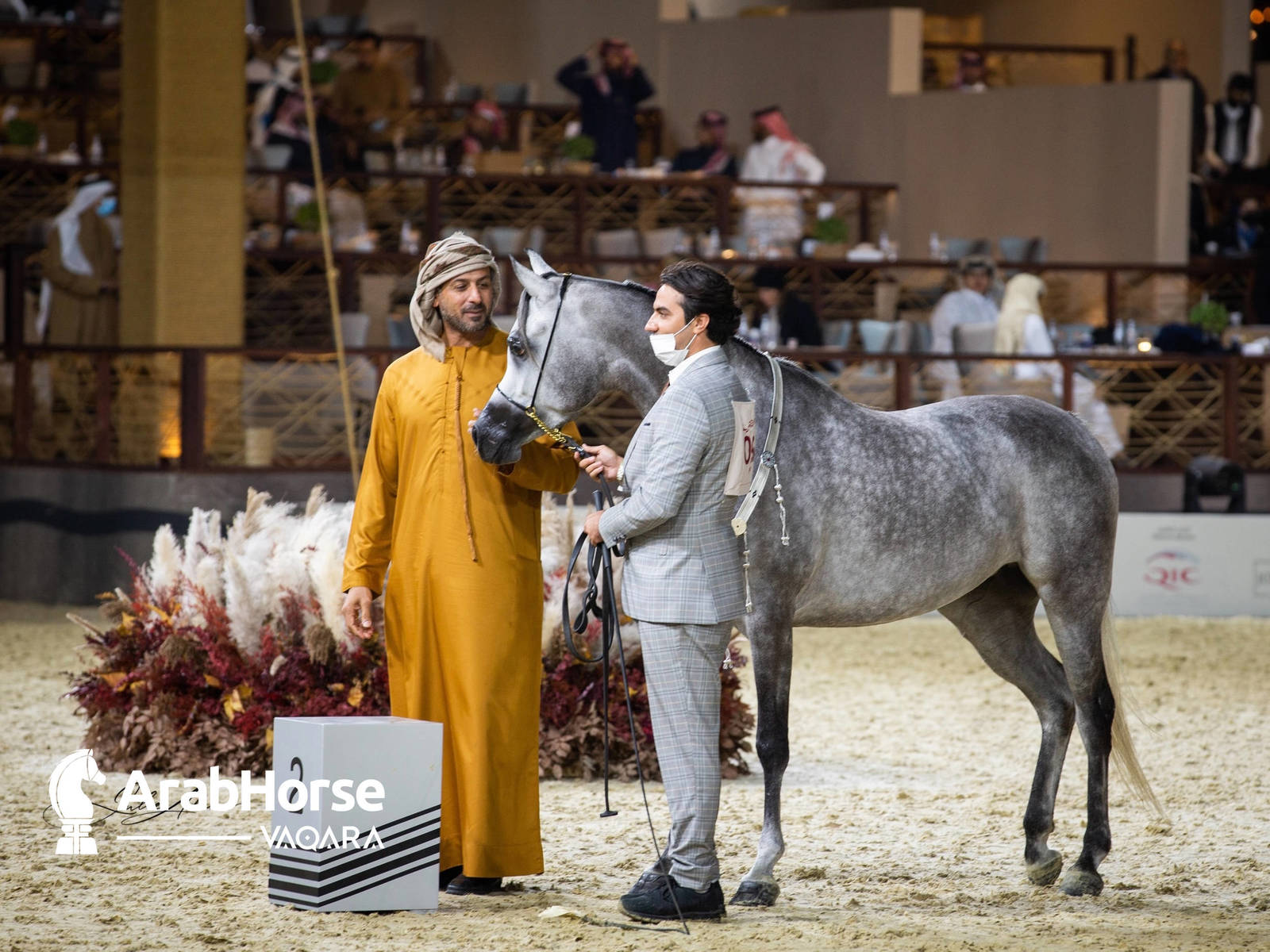 Photos from the 2022 Arabian Peninsula Horse Show at the KIAHF