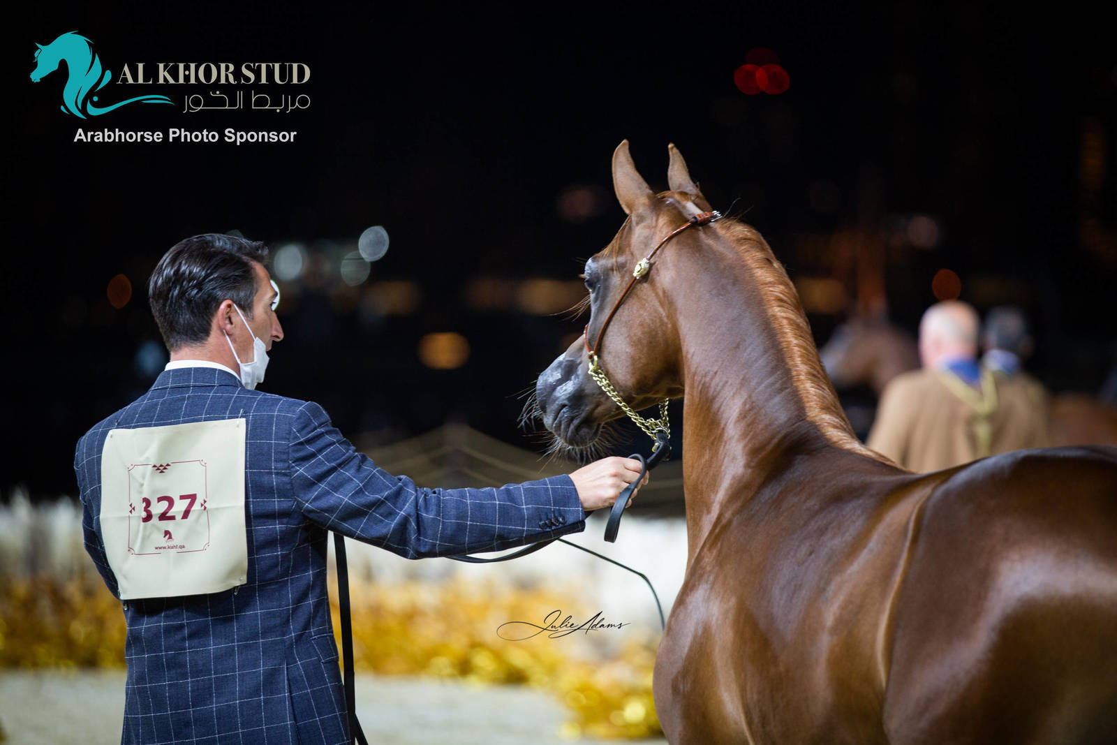 Day 1 of 2022 Katara International Arabian Horse Festival TITLE SHOW