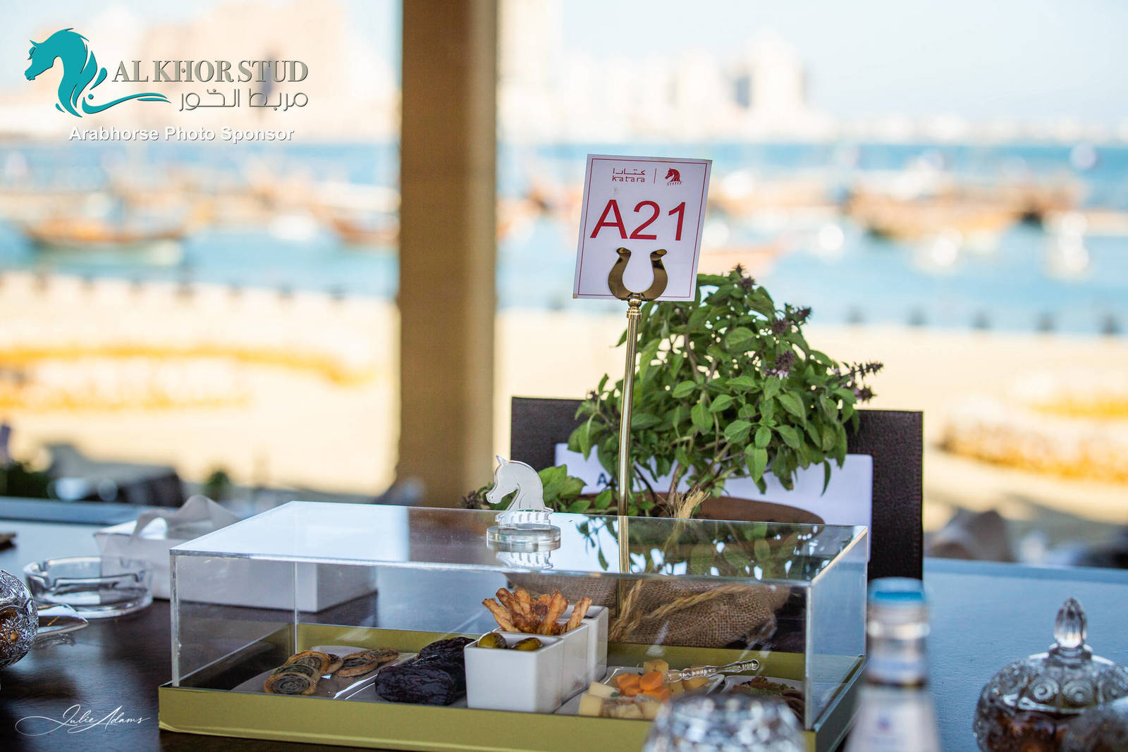 Day 1 of 2022 Katara International Arabian Horse Festival TITLE SHOW