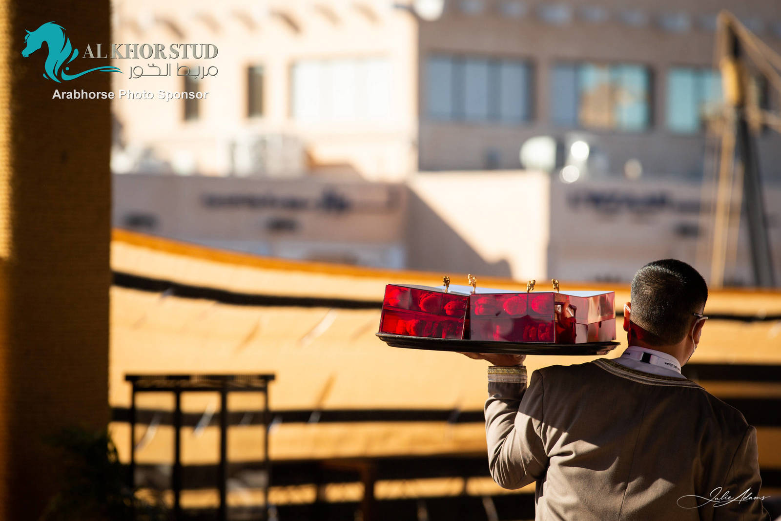 Day 1 of 2022 Katara International Arabian Horse Festival TITLE SHOW