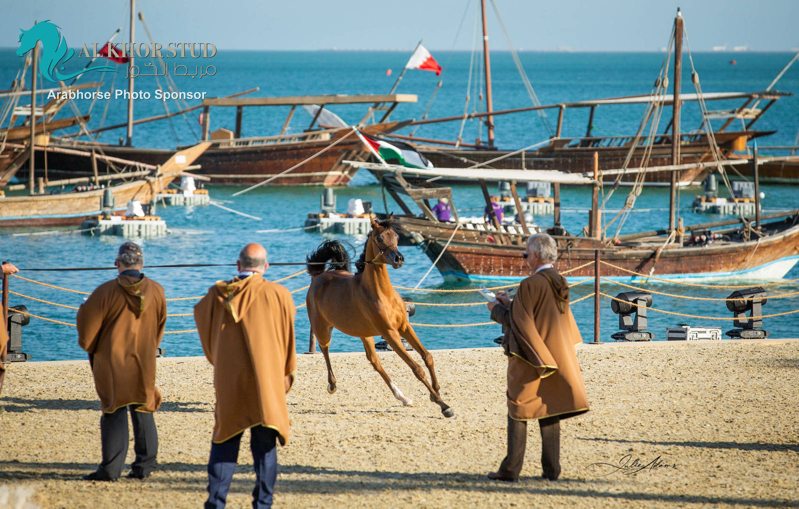 Day 1 of 2022 Katara International Arabian Horse Festival TITLE SHOW
