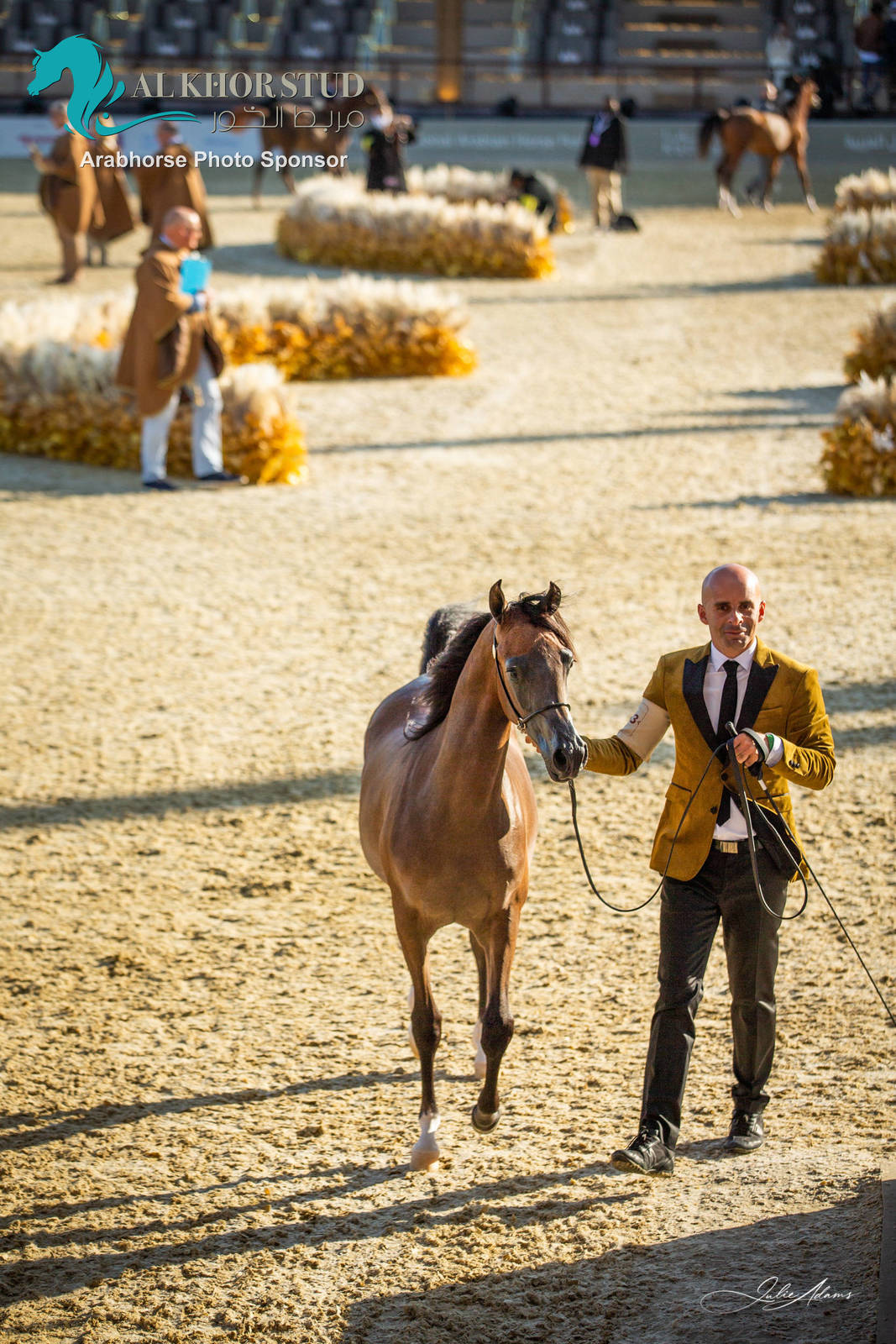 Day 1 of 2022 Katara International Arabian Horse Festival TITLE SHOW