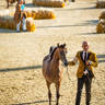 Day 1 of 2022 Katara International Arabian Horse Festival TITLE SHOW