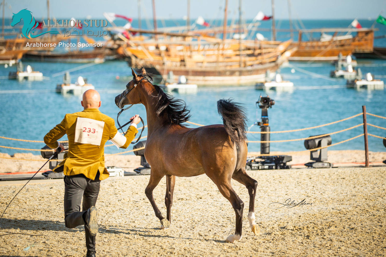 Day 1 of 2022 Katara International Arabian Horse Festival TITLE SHOW