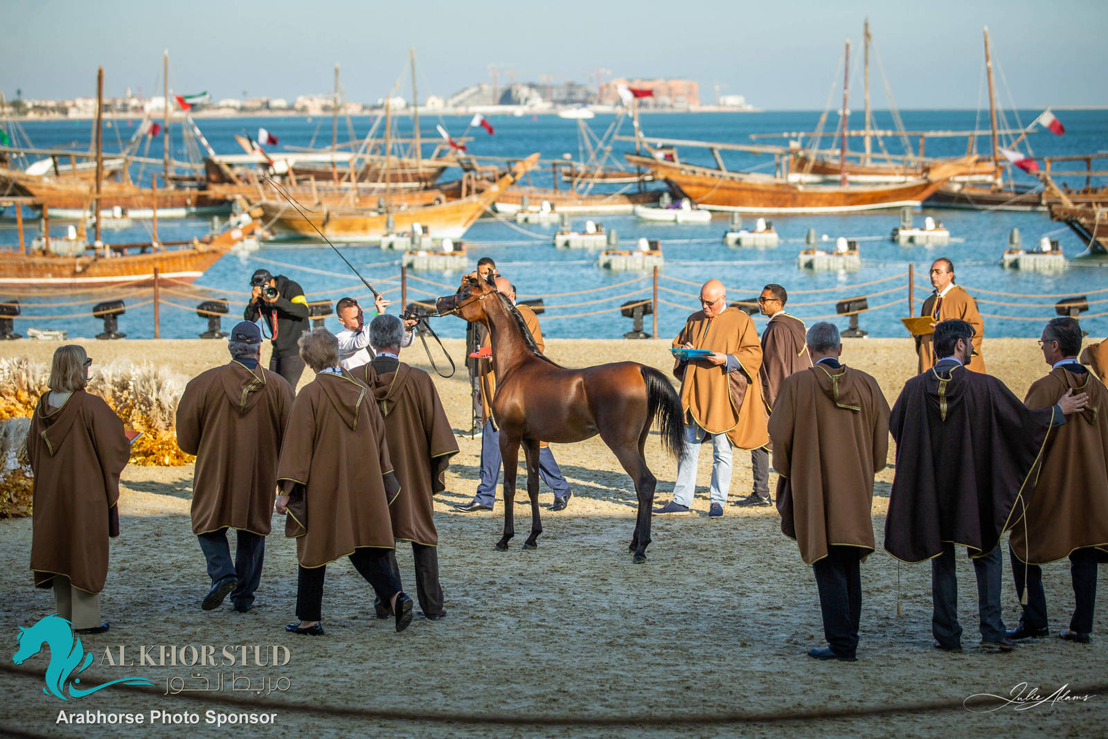Day 1 of 2022 Katara International Arabian Horse Festival TITLE SHOW