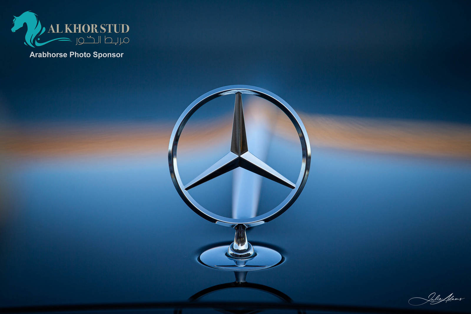 Day 1 of 2022 Katara International Arabian Horse Festival TITLE SHOW