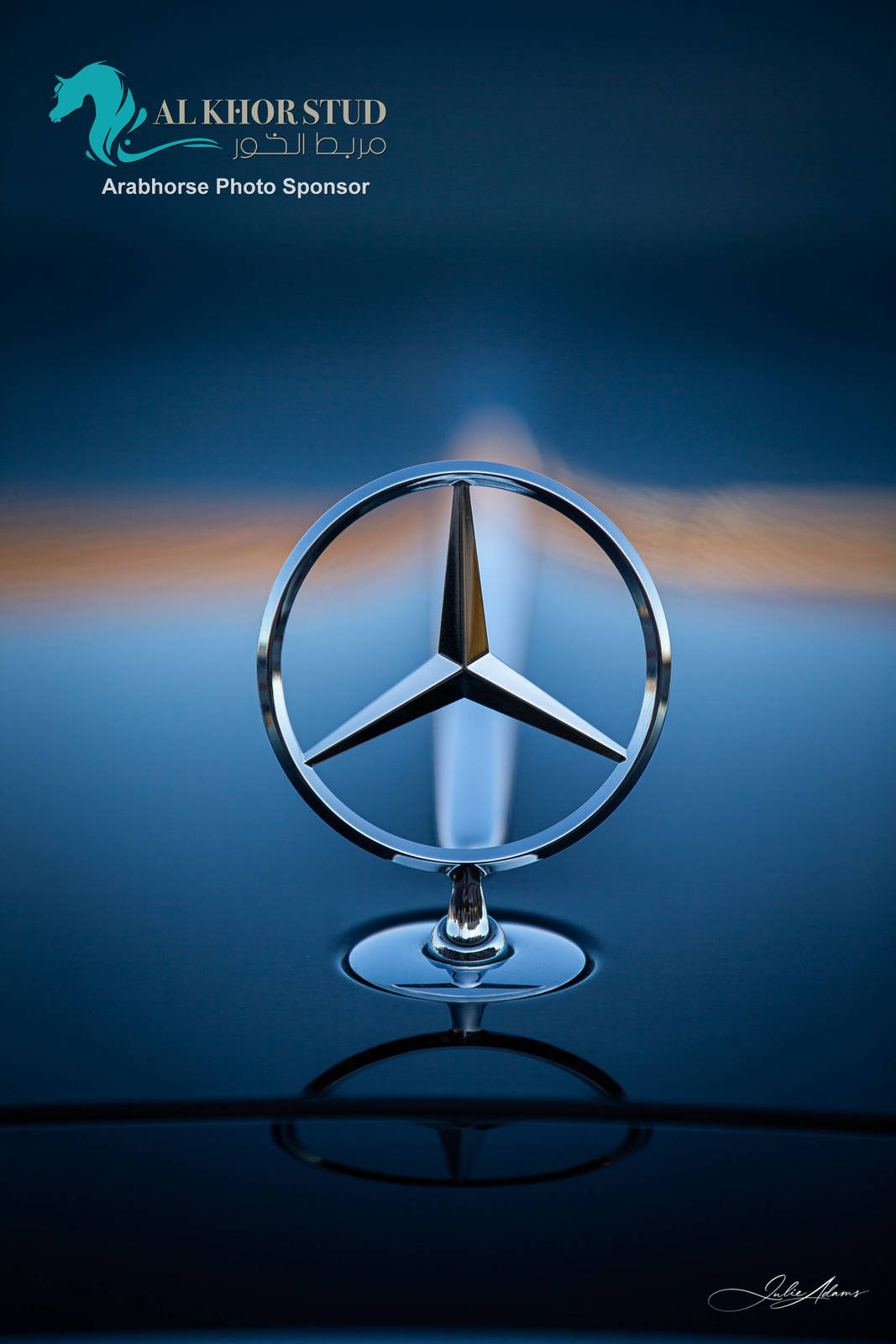 Day 1 of 2022 Katara International Arabian Horse Festival TITLE SHOW