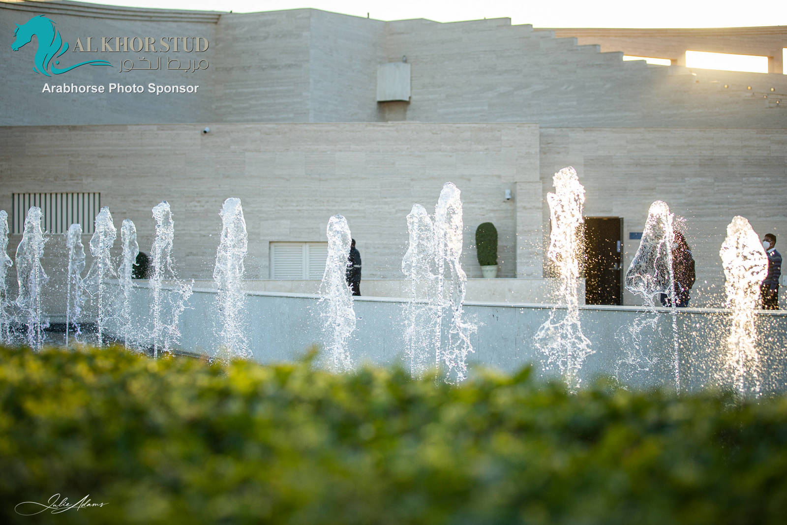 Day 1 of 2022 Katara International Arabian Horse Festival TITLE SHOW