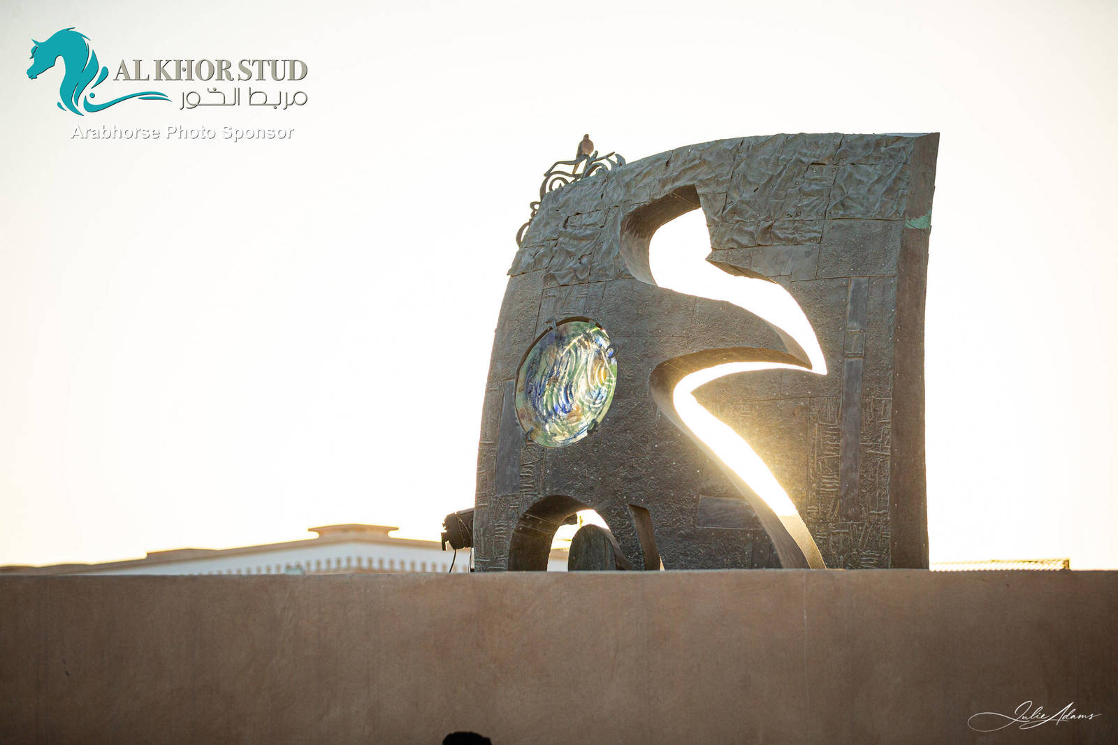 Day 1 of 2022 Katara International Arabian Horse Festival TITLE SHOW