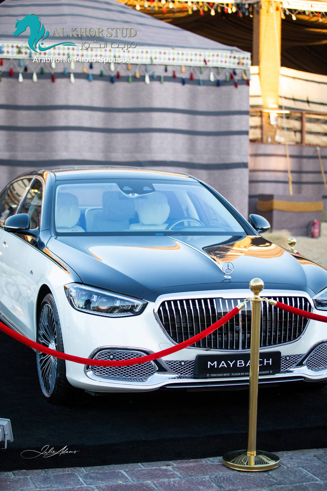 Day 1 of 2022 Katara International Arabian Horse Festival TITLE SHOW