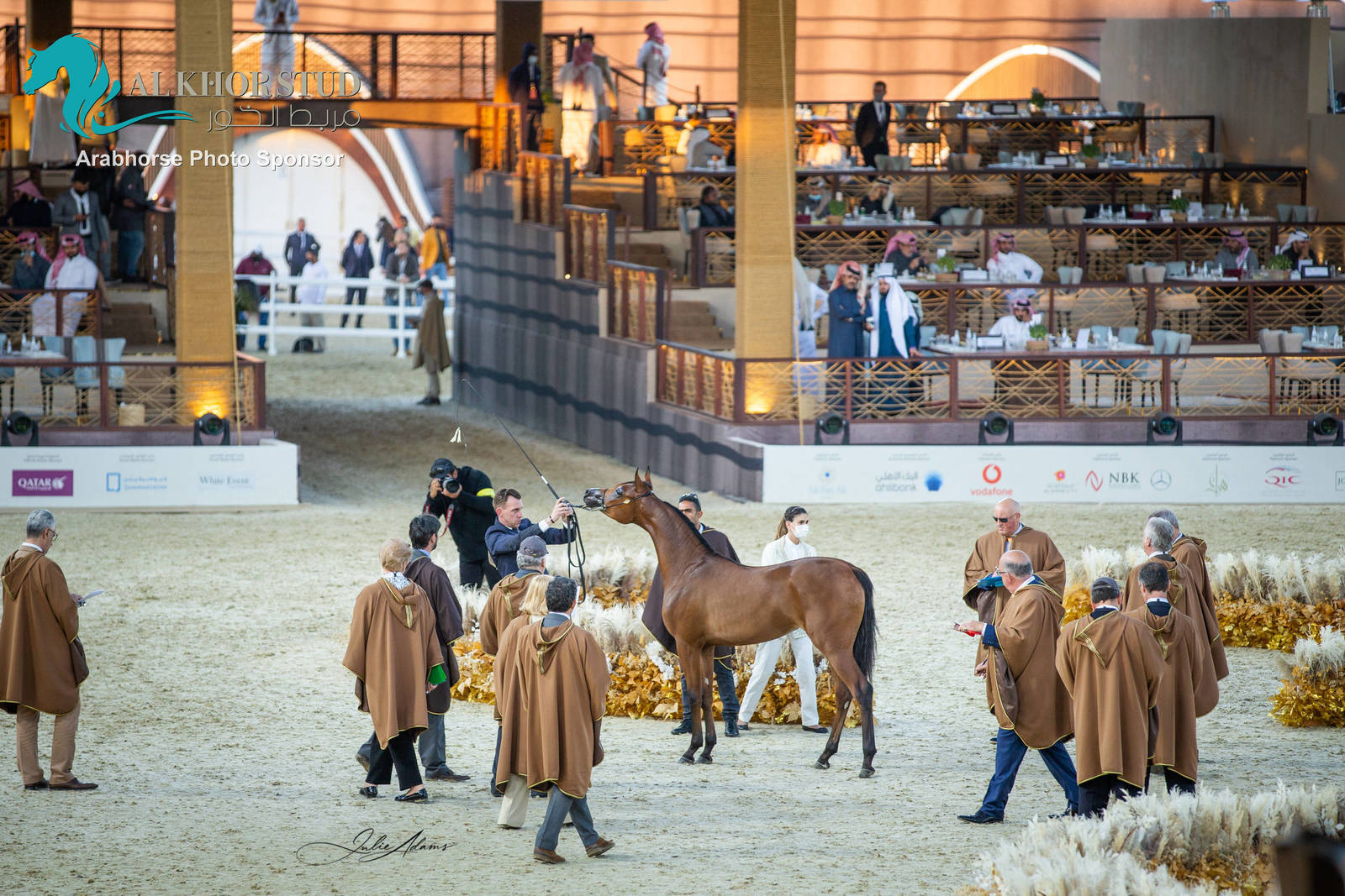 Day 1 of 2022 Katara International Arabian Horse Festival TITLE SHOW