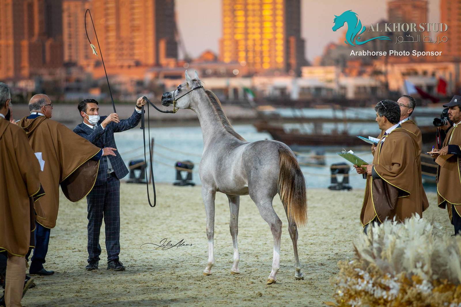 Day 1 of 2022 Katara International Arabian Horse Festival TITLE SHOW