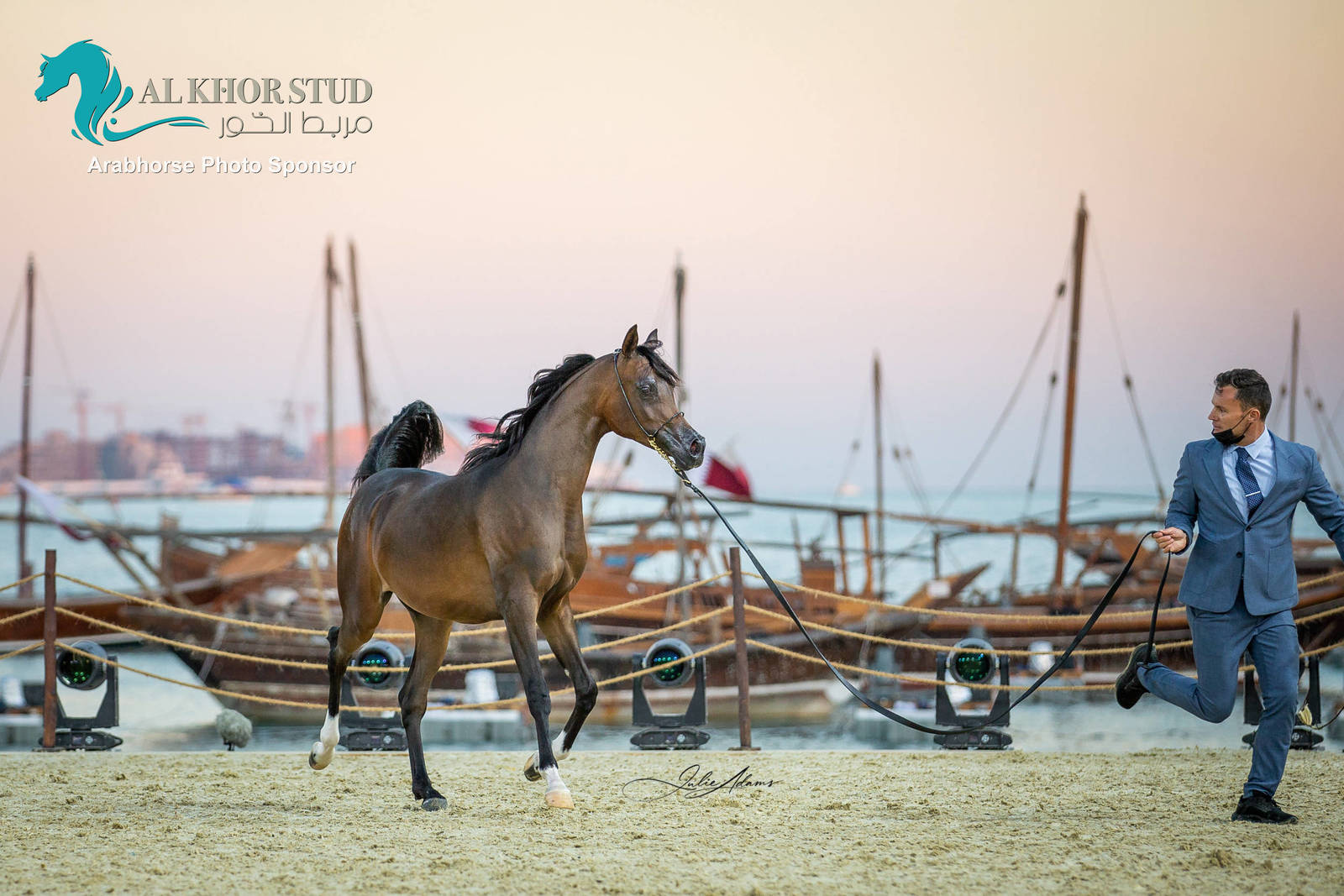 Day 1 of 2022 Katara International Arabian Horse Festival TITLE SHOW