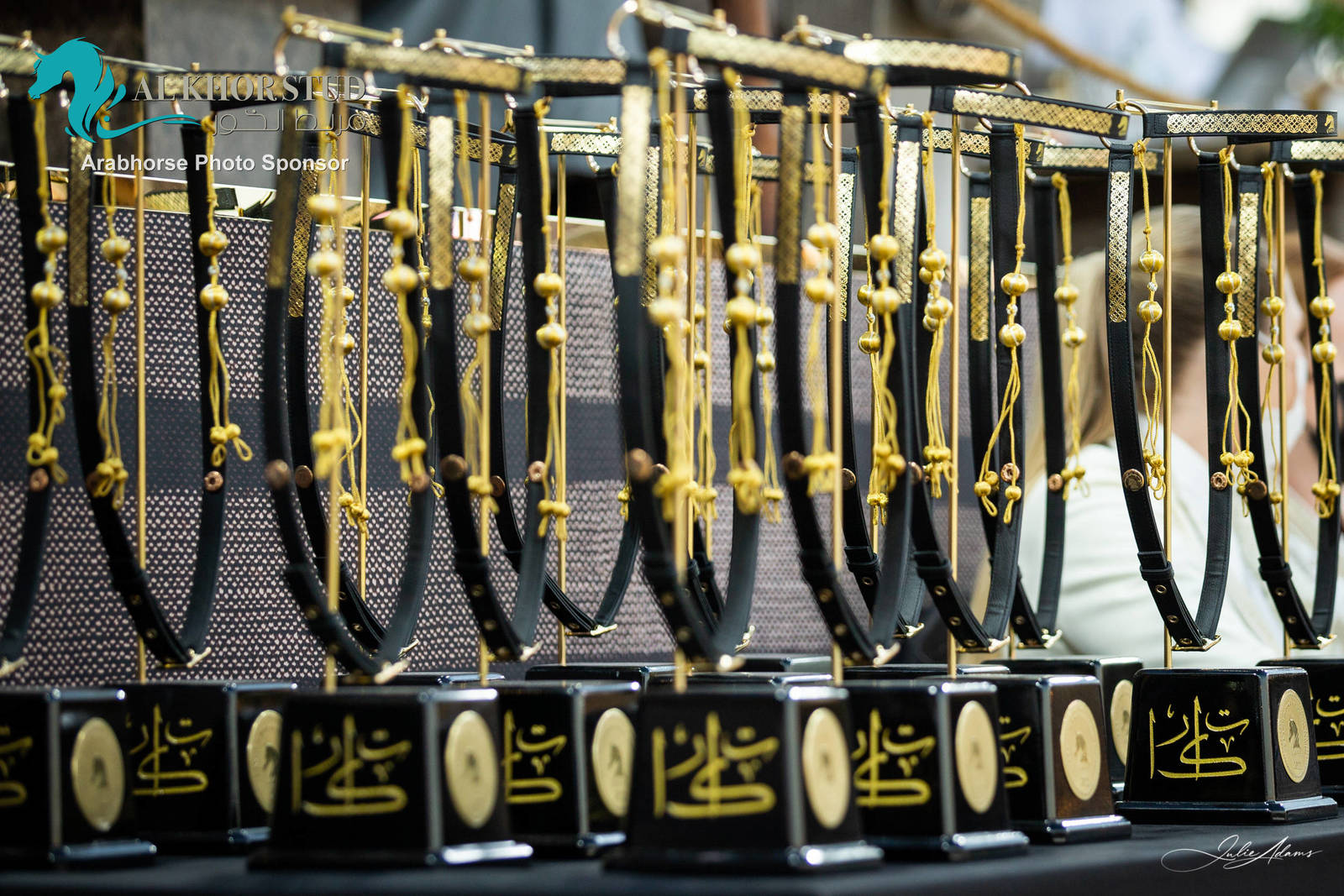 Day 1 of 2022 Katara International Arabian Horse Festival TITLE SHOW