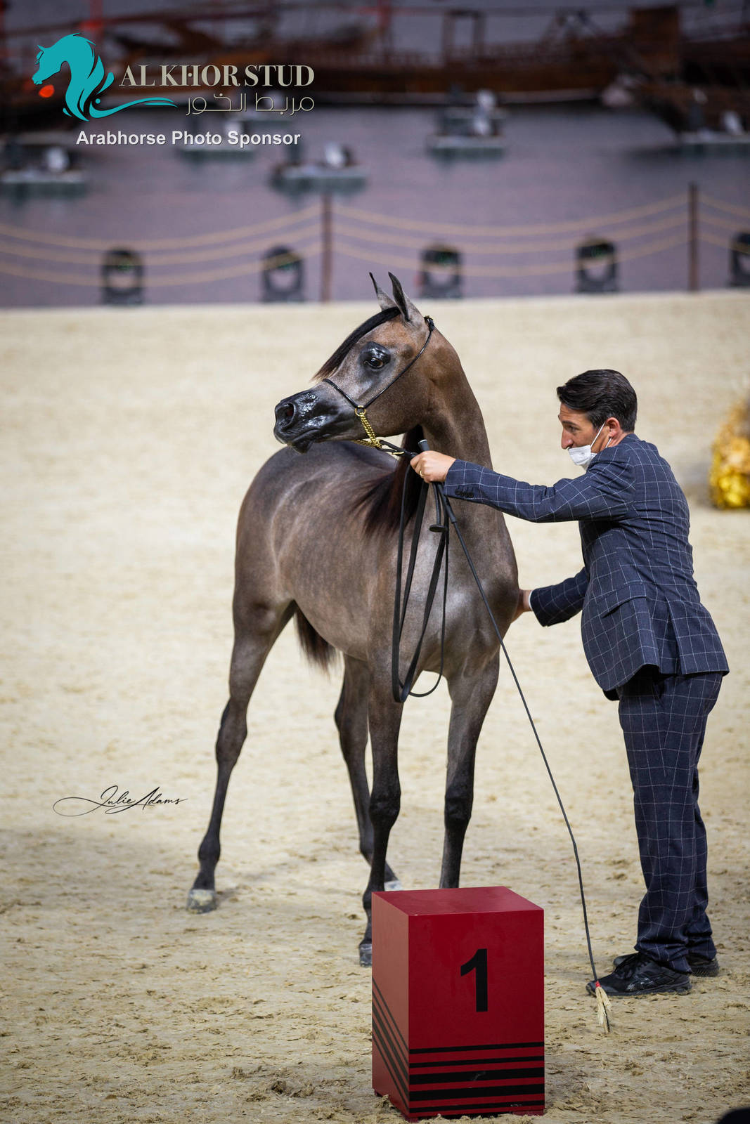 Day 1 of 2022 Katara International Arabian Horse Festival TITLE SHOW