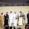 Day 1 of 2022 Katara International Arabian Horse Festival TITLE SHOW