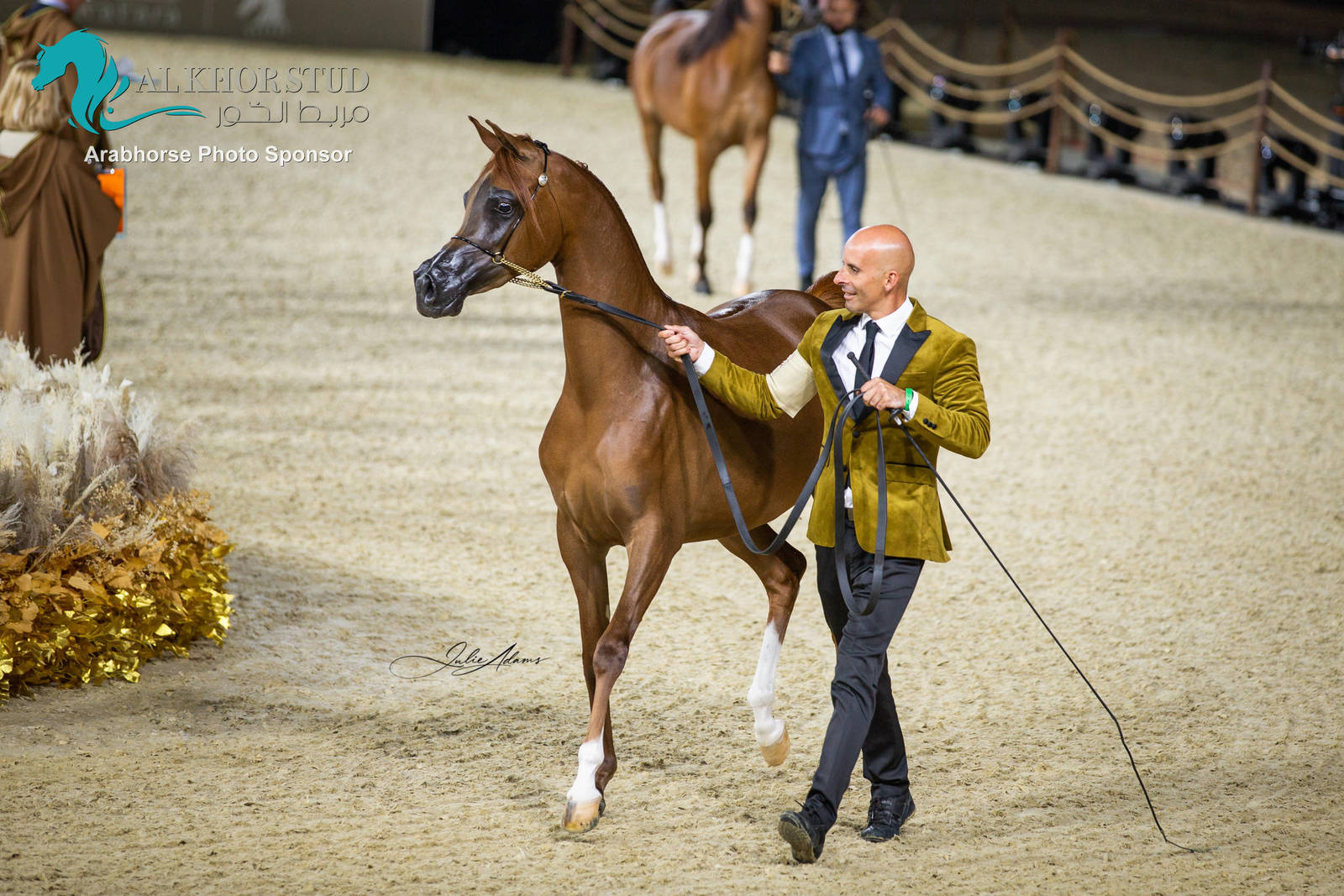 Day 1 of 2022 Katara International Arabian Horse Festival TITLE SHOW
