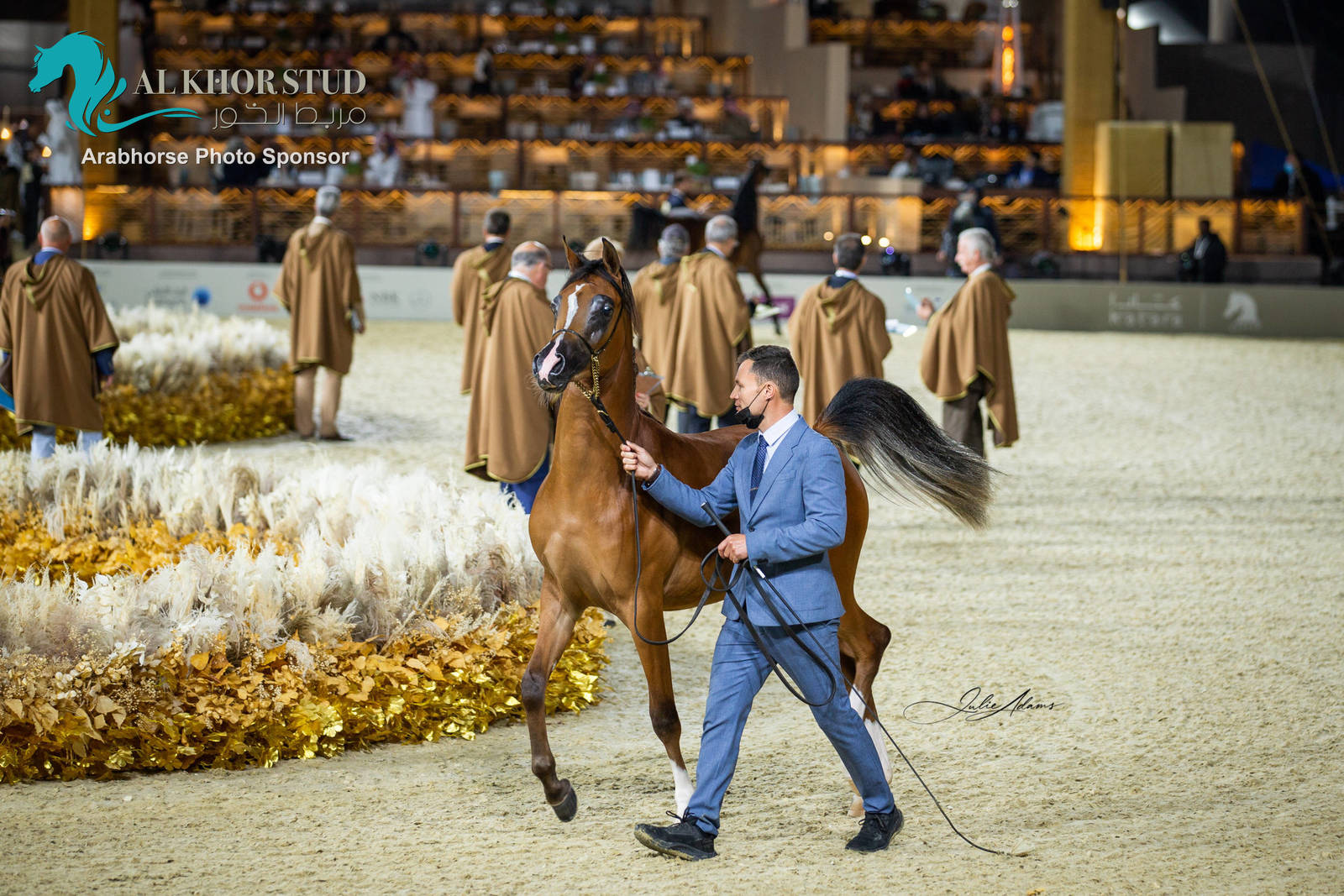 Day 1 of 2022 Katara International Arabian Horse Festival TITLE SHOW