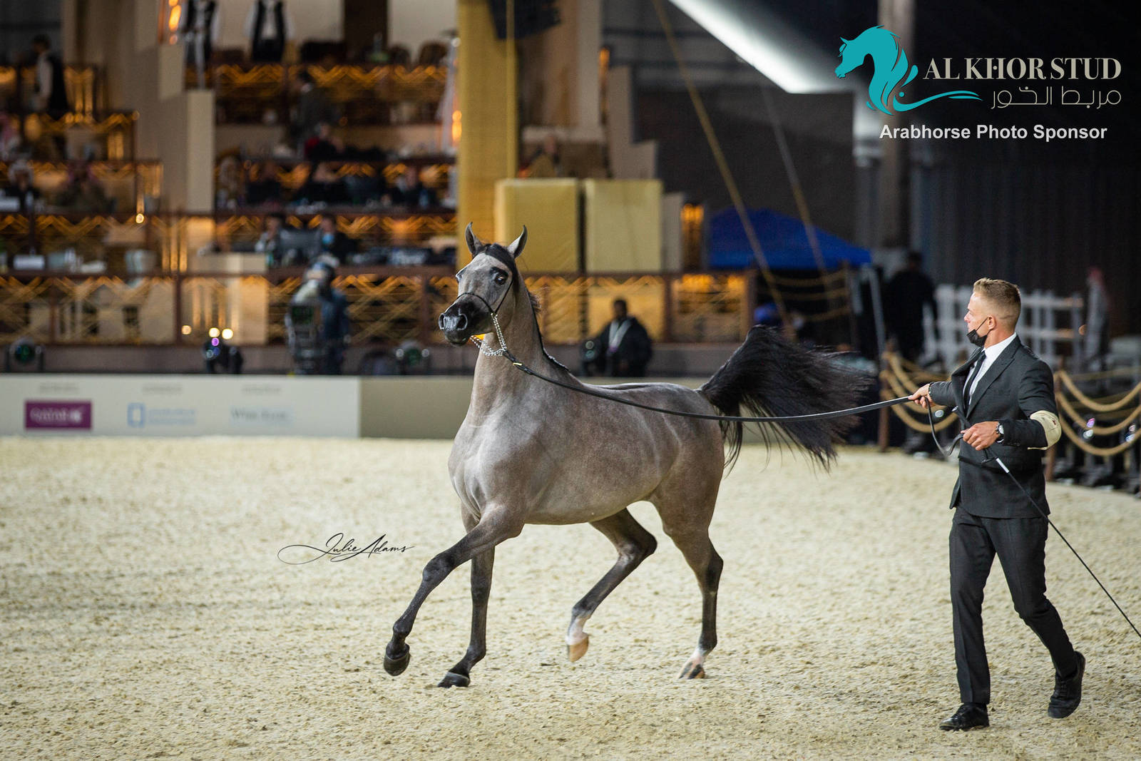 Day 1 of 2022 Katara International Arabian Horse Festival TITLE SHOW