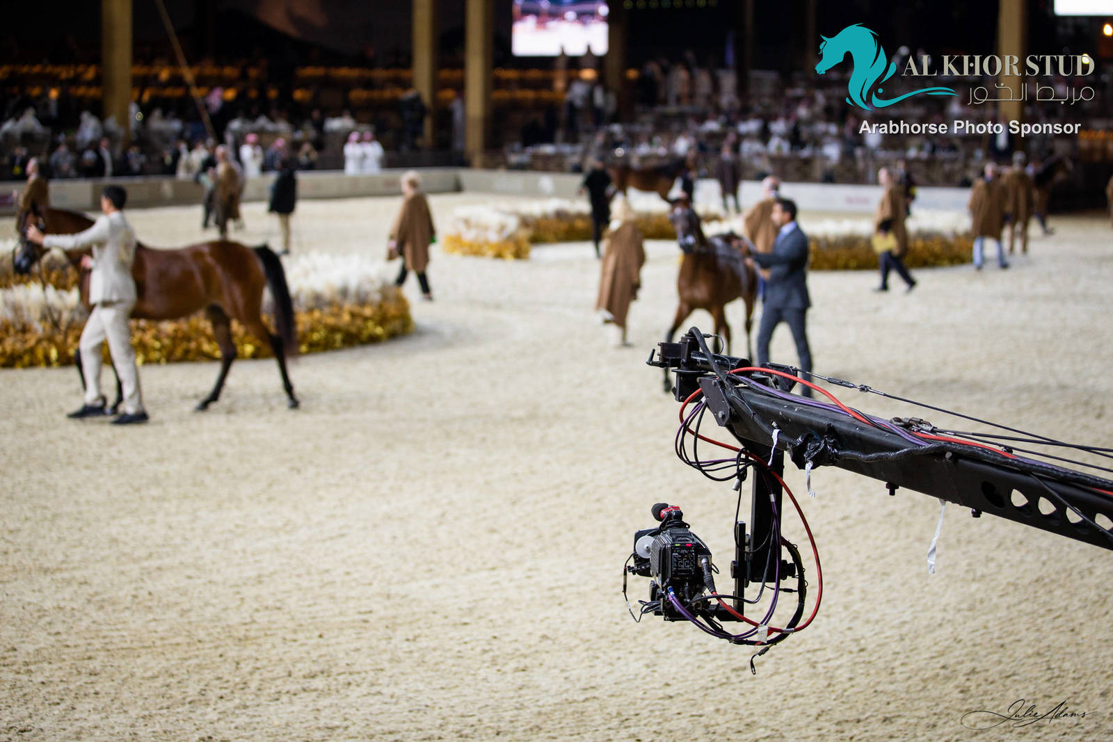 Day 1 of 2022 Katara International Arabian Horse Festival TITLE SHOW