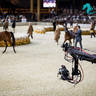 Day 1 of 2022 Katara International Arabian Horse Festival TITLE SHOW