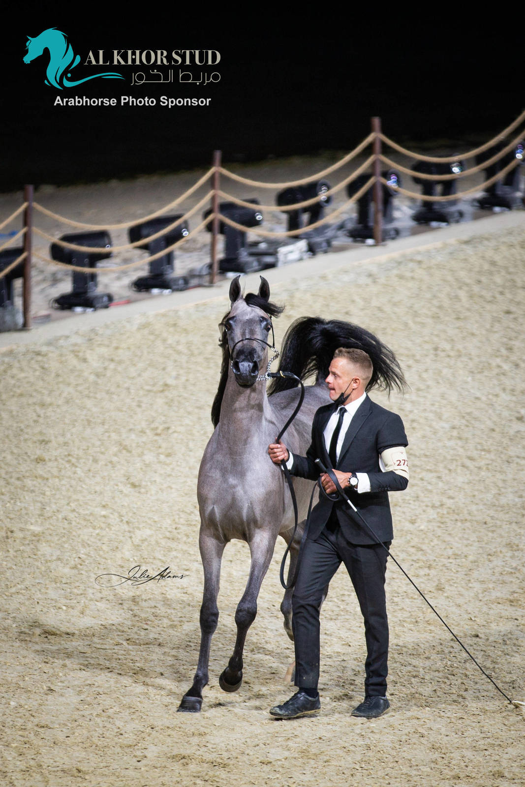 Day 1 of 2022 Katara International Arabian Horse Festival TITLE SHOW