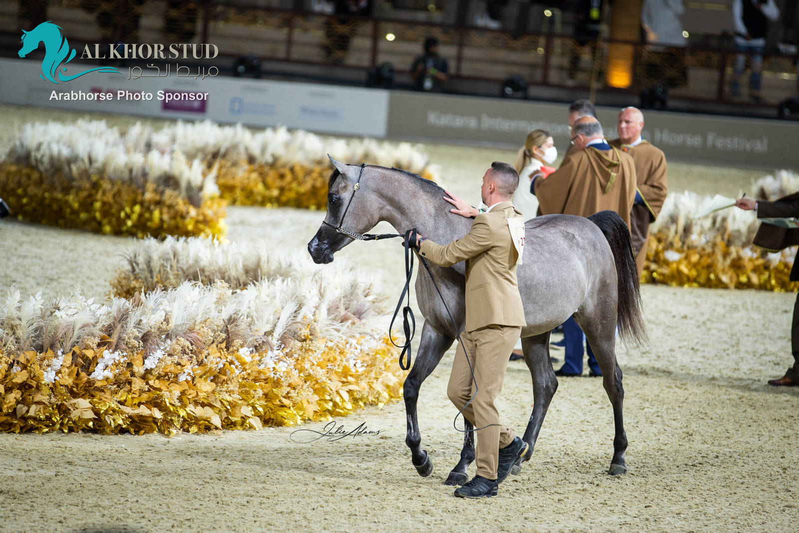 Day 1 of 2022 Katara International Arabian Horse Festival TITLE SHOW