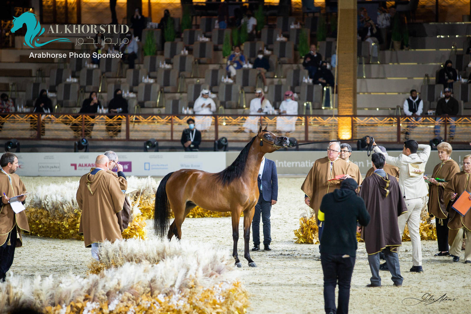 Day 1 of 2022 Katara International Arabian Horse Festival TITLE SHOW