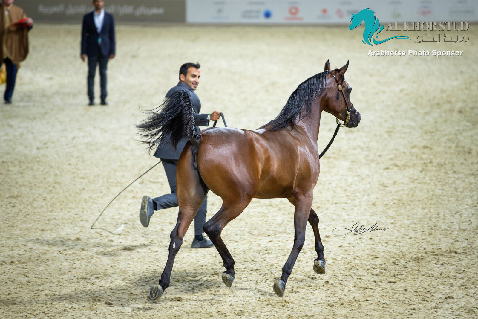 Day 1 of 2022 Katara International Arabian Horse Festival TITLE SHOW