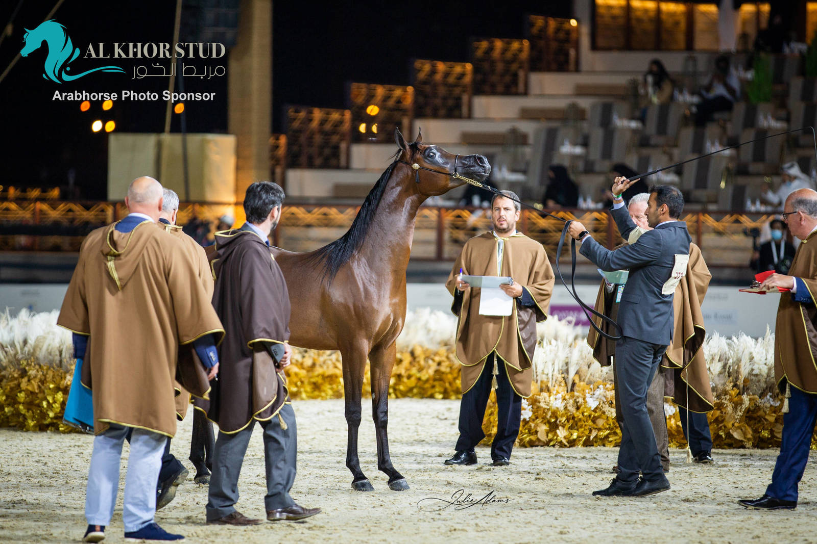 Day 1 of 2022 Katara International Arabian Horse Festival TITLE SHOW