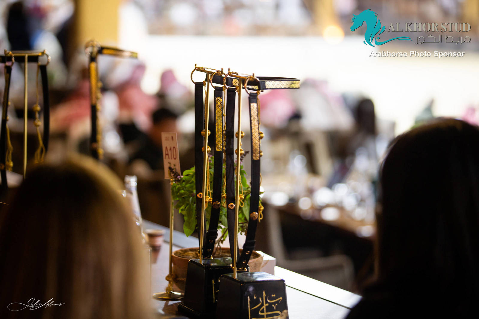 Day 1 of 2022 Katara International Arabian Horse Festival TITLE SHOW