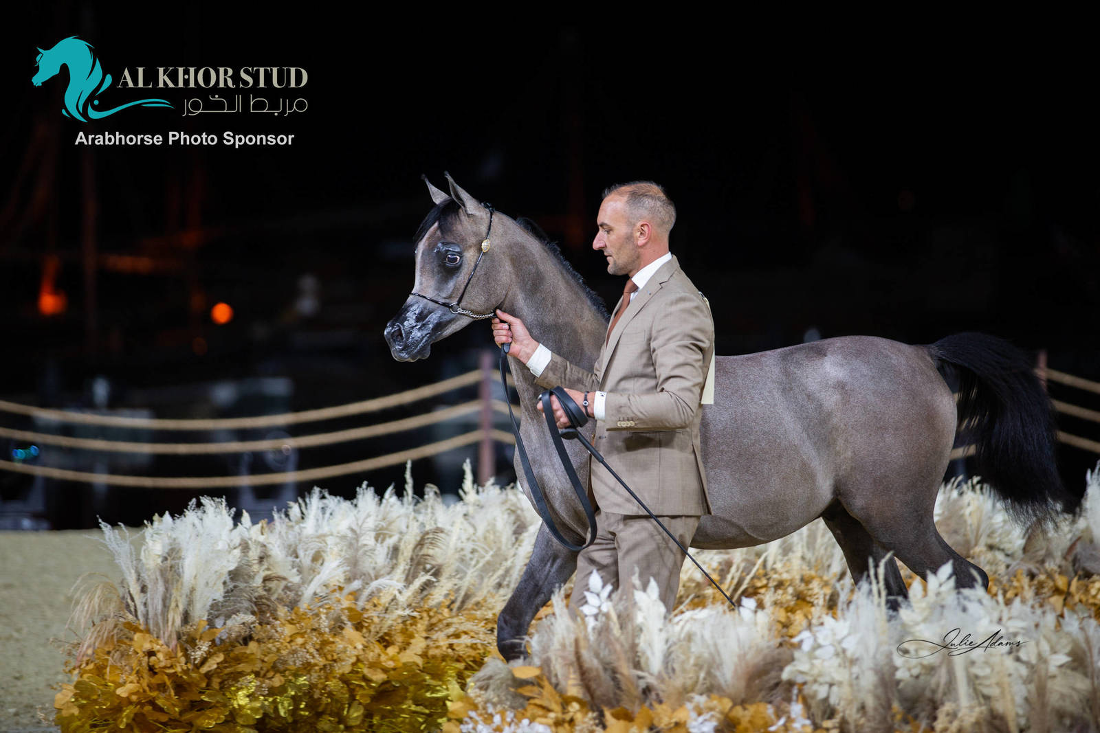 Day 1 of 2022 Katara International Arabian Horse Festival TITLE SHOW