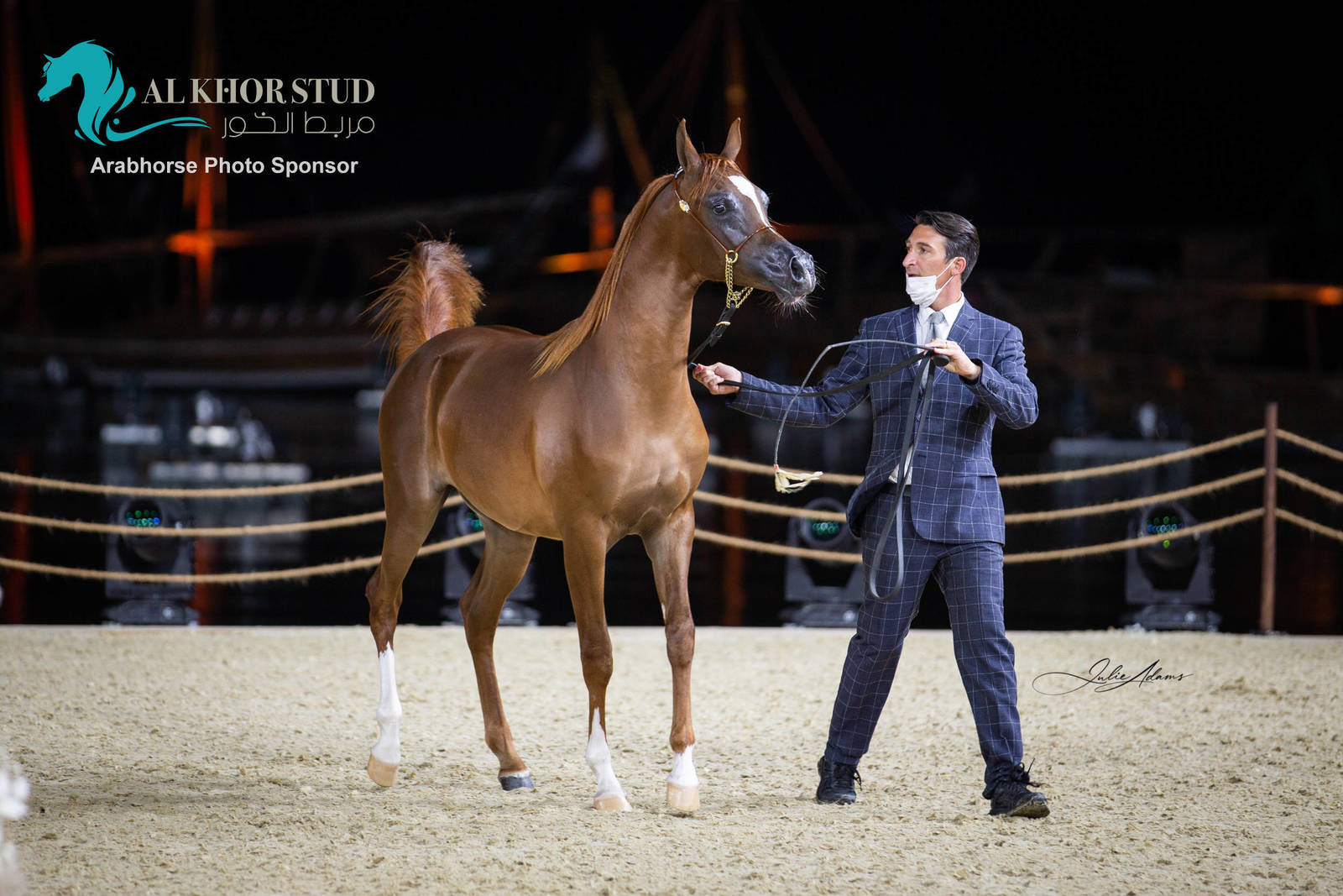 Day 1 of 2022 Katara International Arabian Horse Festival TITLE SHOW