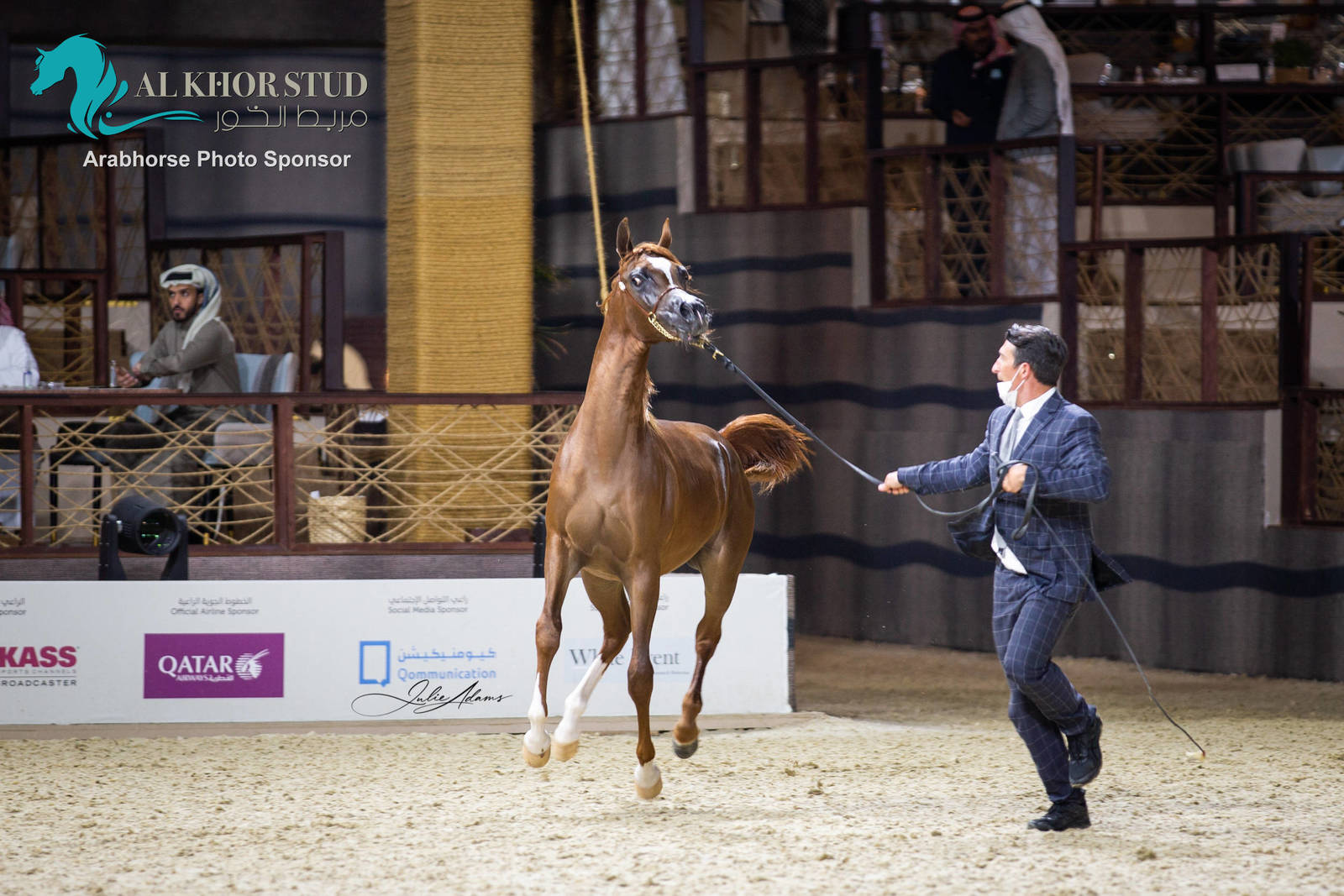 Day 1 of 2022 Katara International Arabian Horse Festival TITLE SHOW