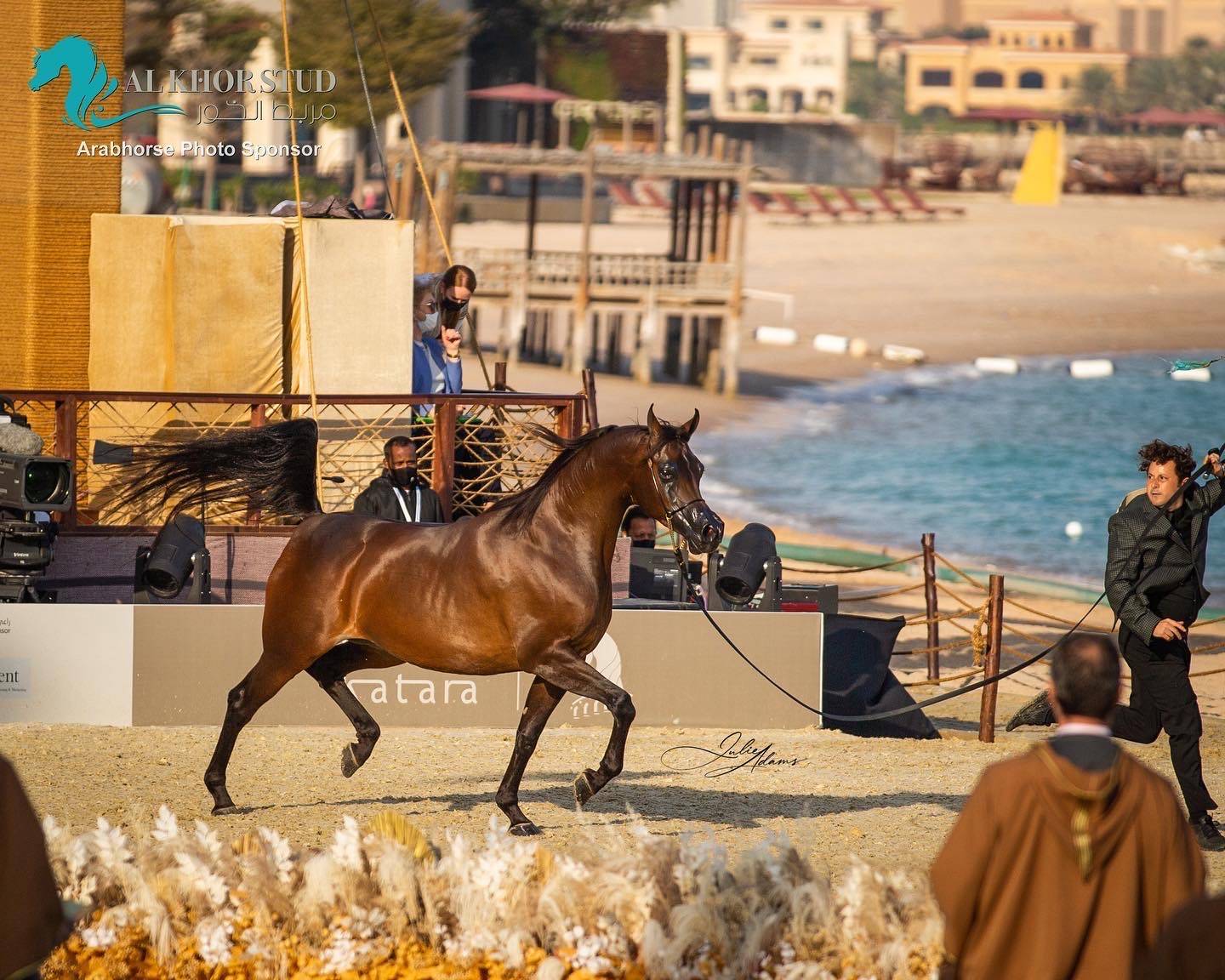 DAY 3 OF 2022 KATARA INTERNATIONAL ARABIAN HORSE FESTIVAL TITLE SHOW