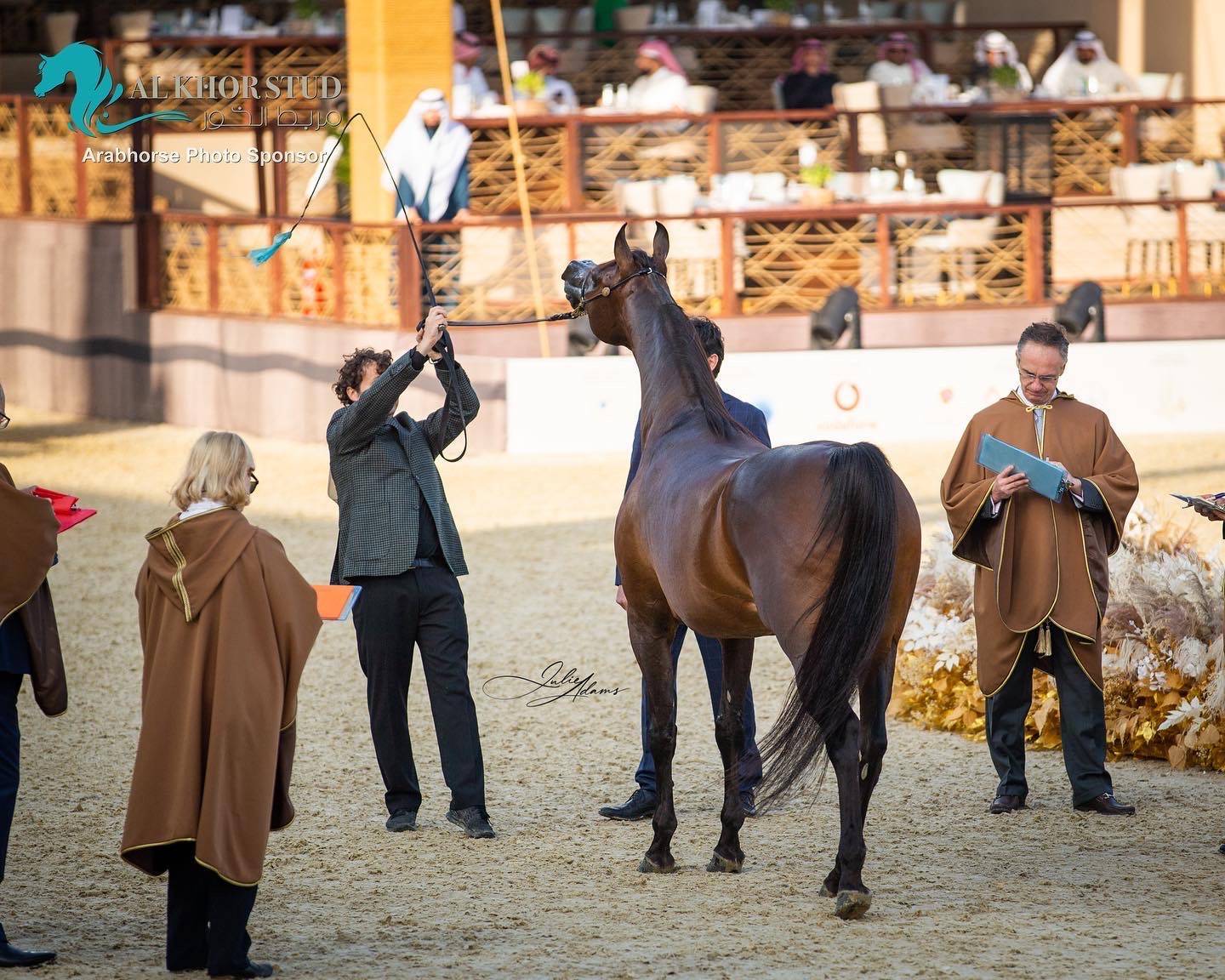 DAY 3 OF 2022 KATARA INTERNATIONAL ARABIAN HORSE FESTIVAL TITLE SHOW