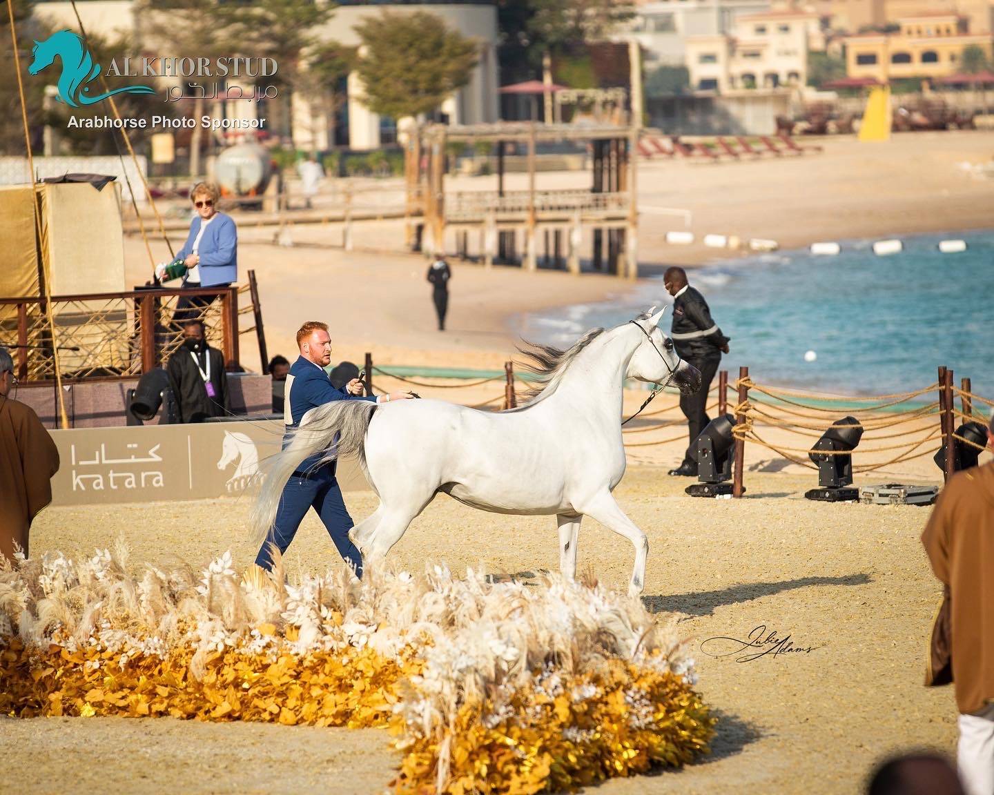 DAY 3 OF 2022 KATARA INTERNATIONAL ARABIAN HORSE FESTIVAL TITLE SHOW