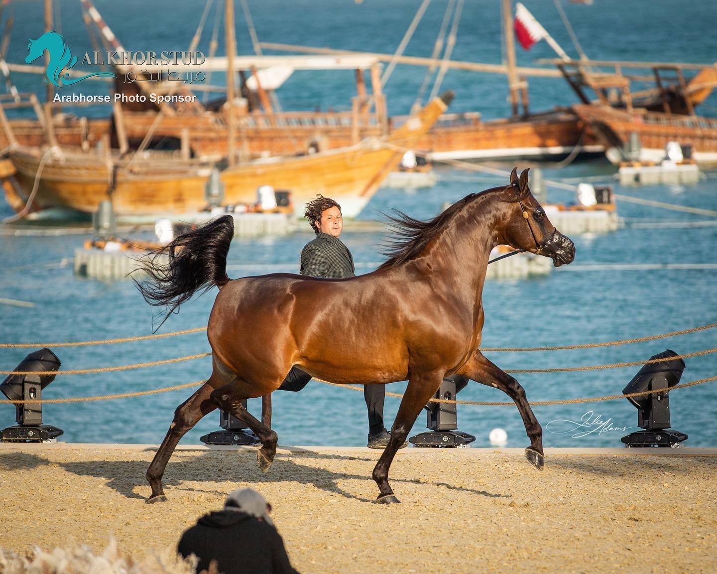 DAY 3 OF 2022 KATARA INTERNATIONAL ARABIAN HORSE FESTIVAL TITLE SHOW