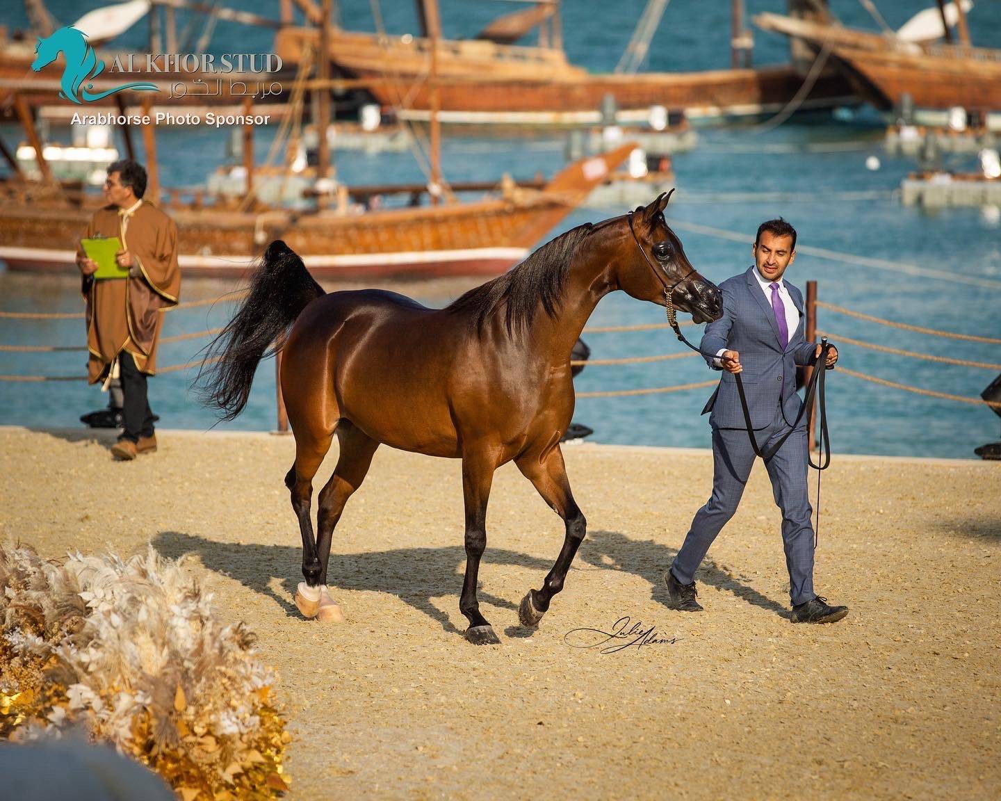 DAY 3 OF 2022 KATARA INTERNATIONAL ARABIAN HORSE FESTIVAL TITLE SHOW