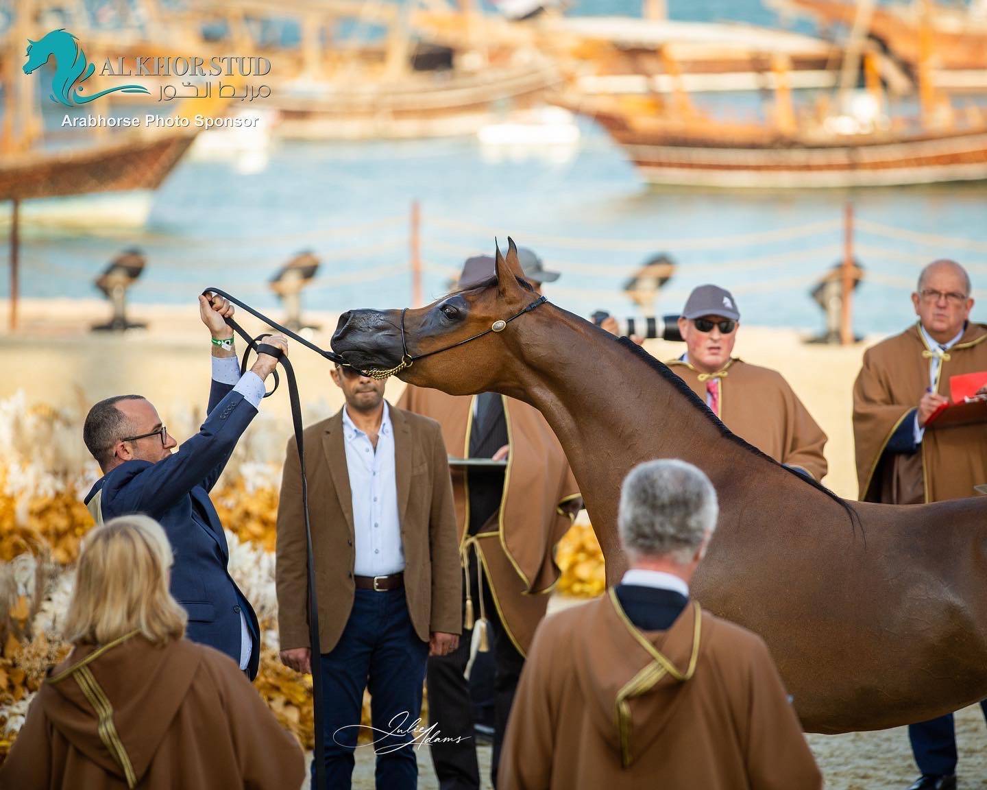 DAY 3 OF 2022 KATARA INTERNATIONAL ARABIAN HORSE FESTIVAL TITLE SHOW